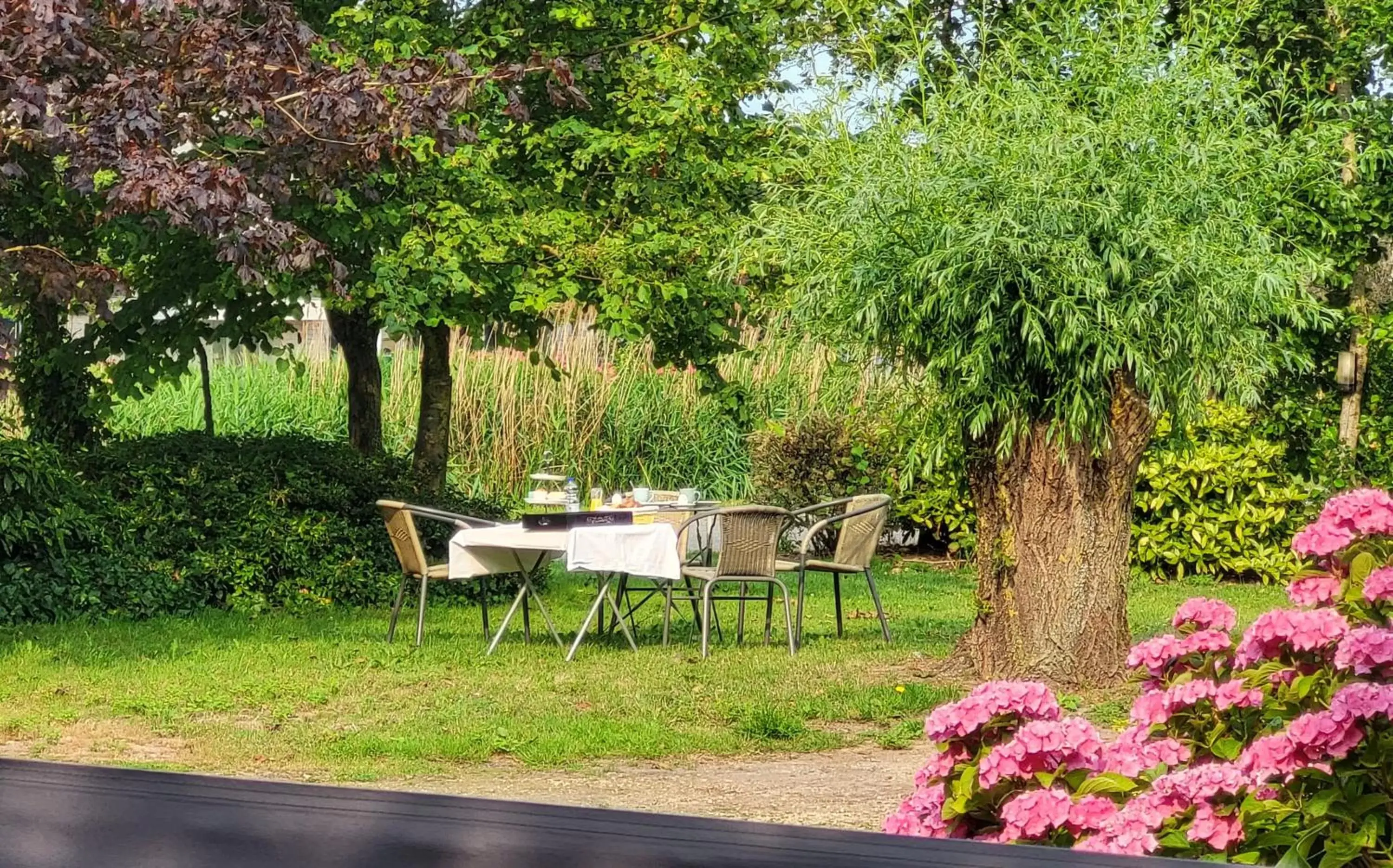 Garden in LUXE Bloemenzicht 4 personen, BnB, 10 minuten van zee