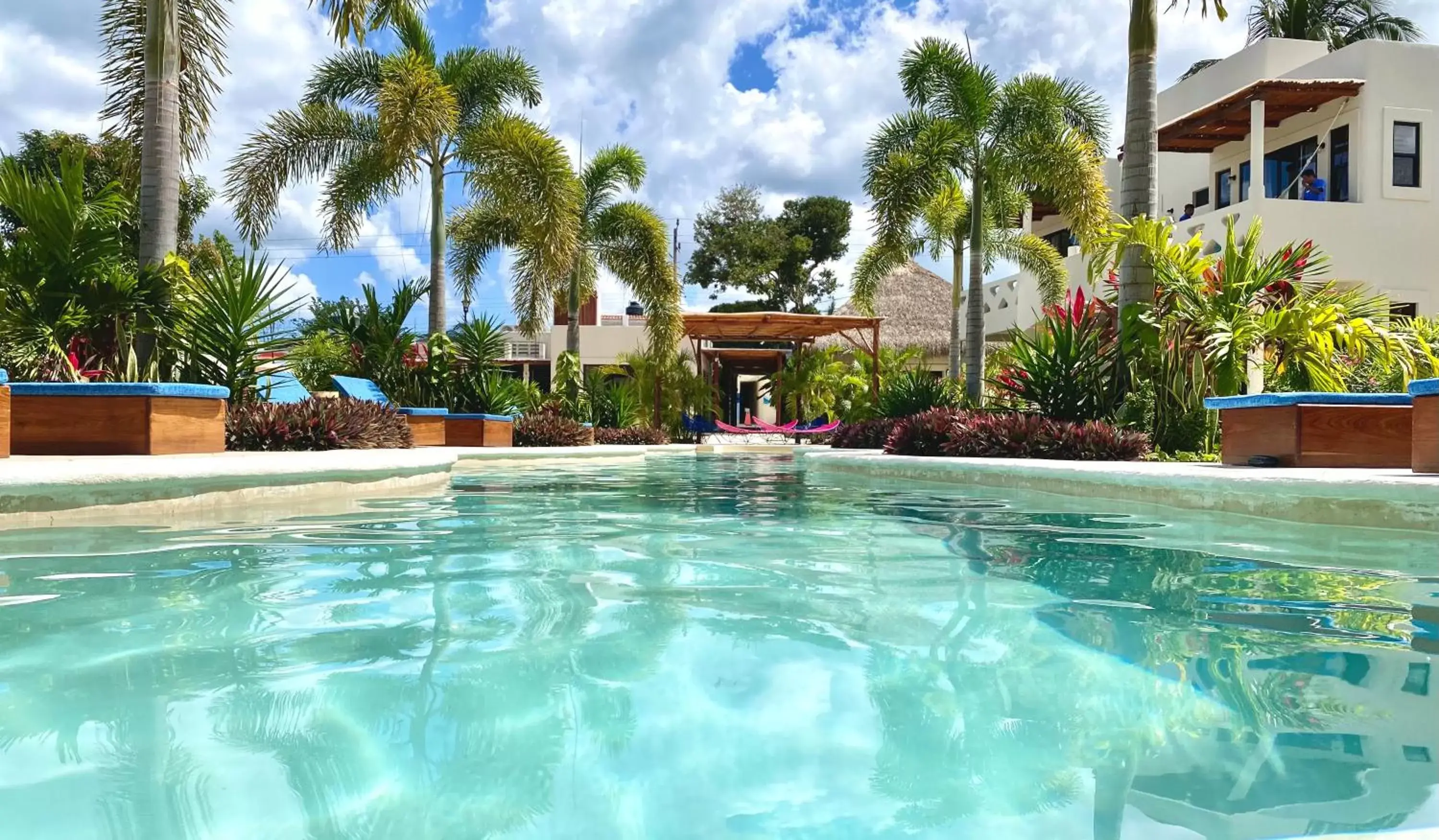 Swimming Pool in Blue Palm Bacalar