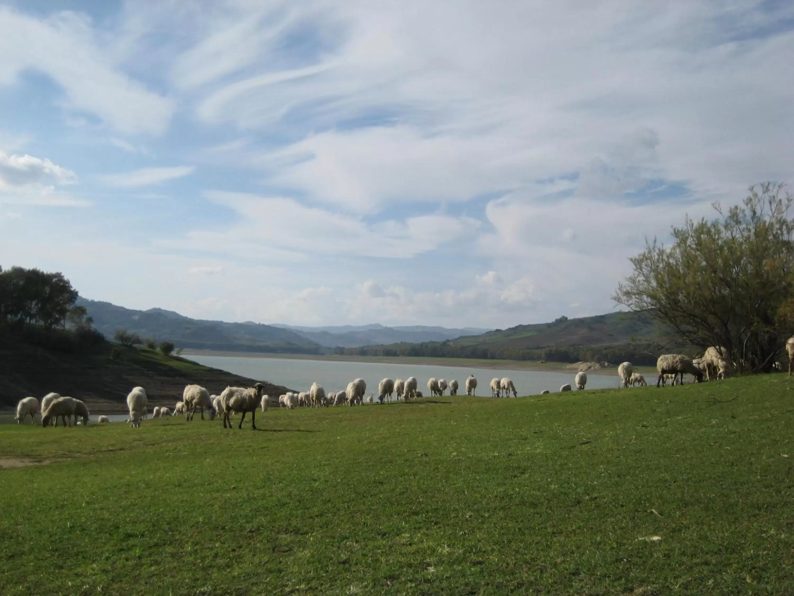 Natural landscape, Garden in Oasi del Lago