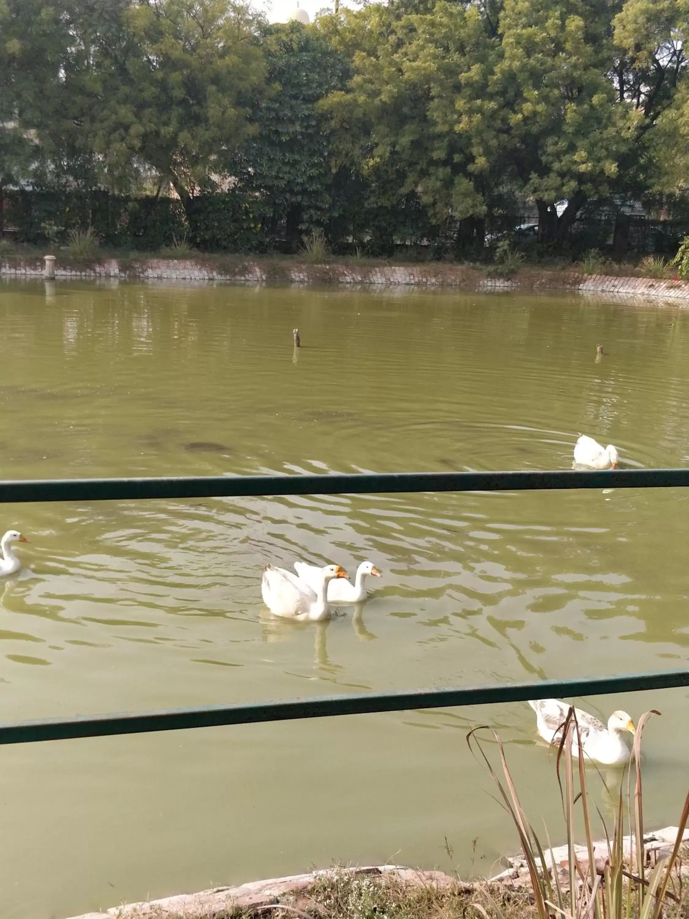 Trident Agra Trident Agra