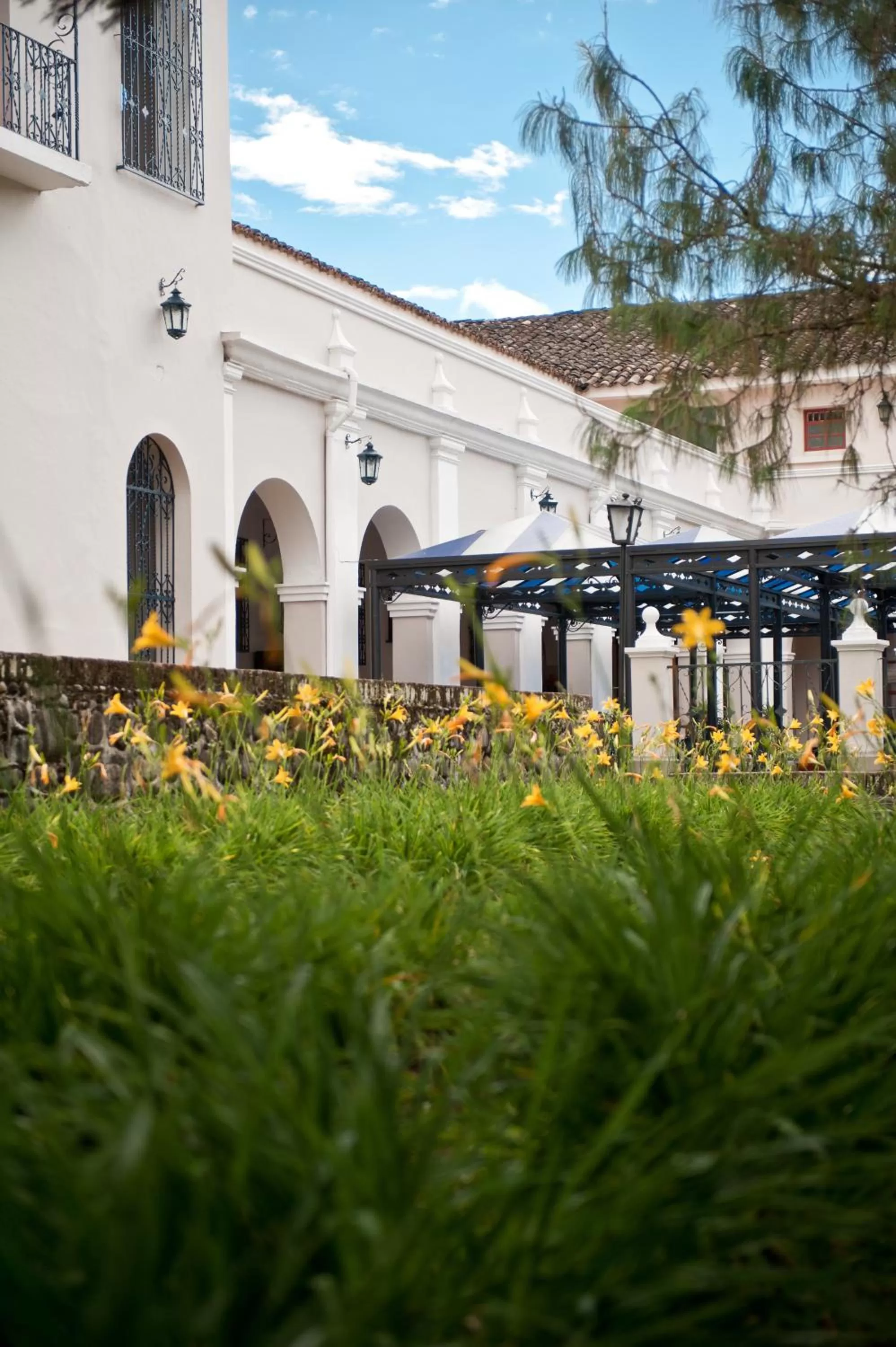 Garden in Hotel Dann Monasterio