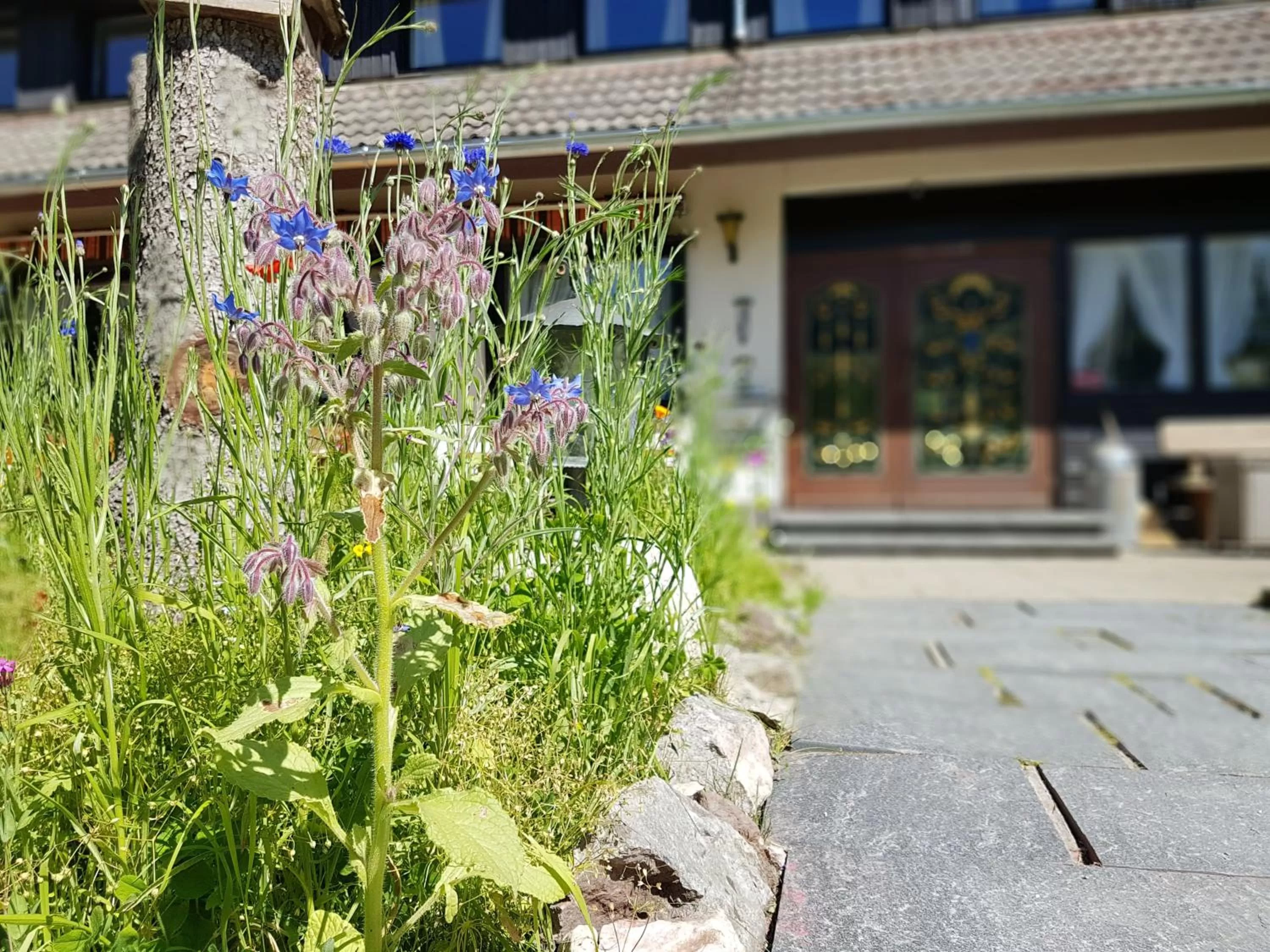 Other in Hotel Landhaus Sonnenhof