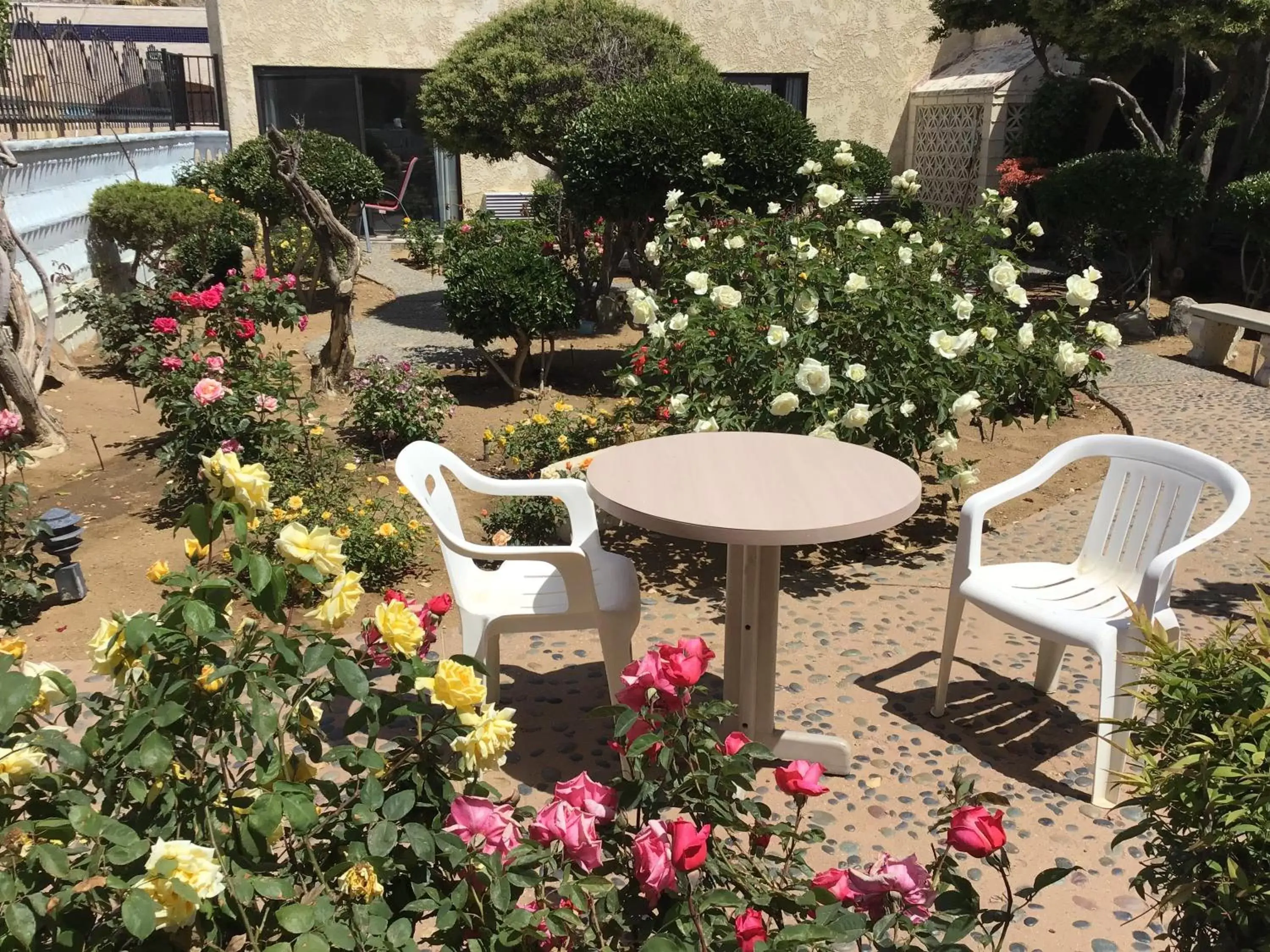 Garden in Americas Best Value Inn and Suites -Yucca Valley