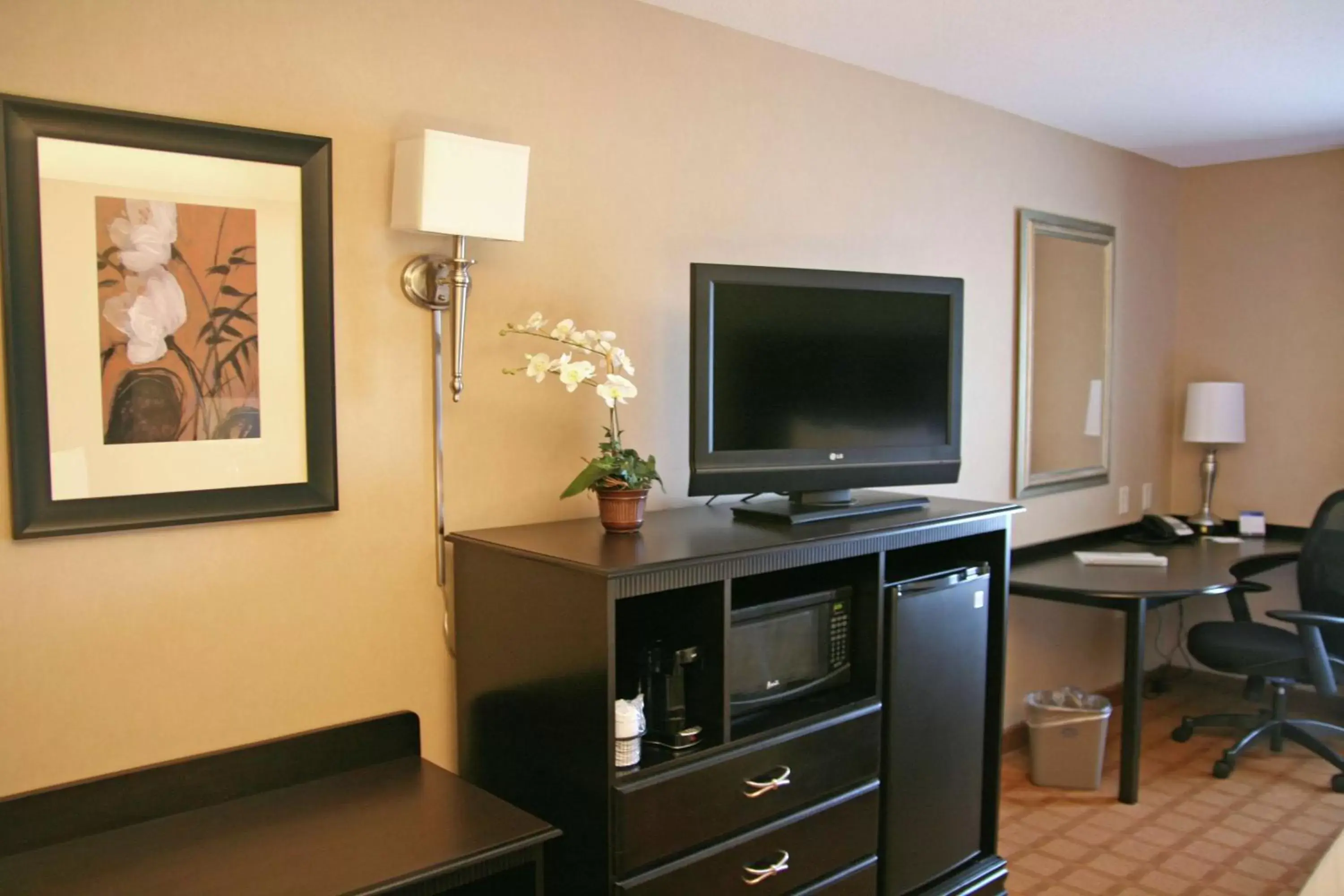 Bedroom, TV/Entertainment Center in Hampton Inn & Suites Chicago/Saint Charles