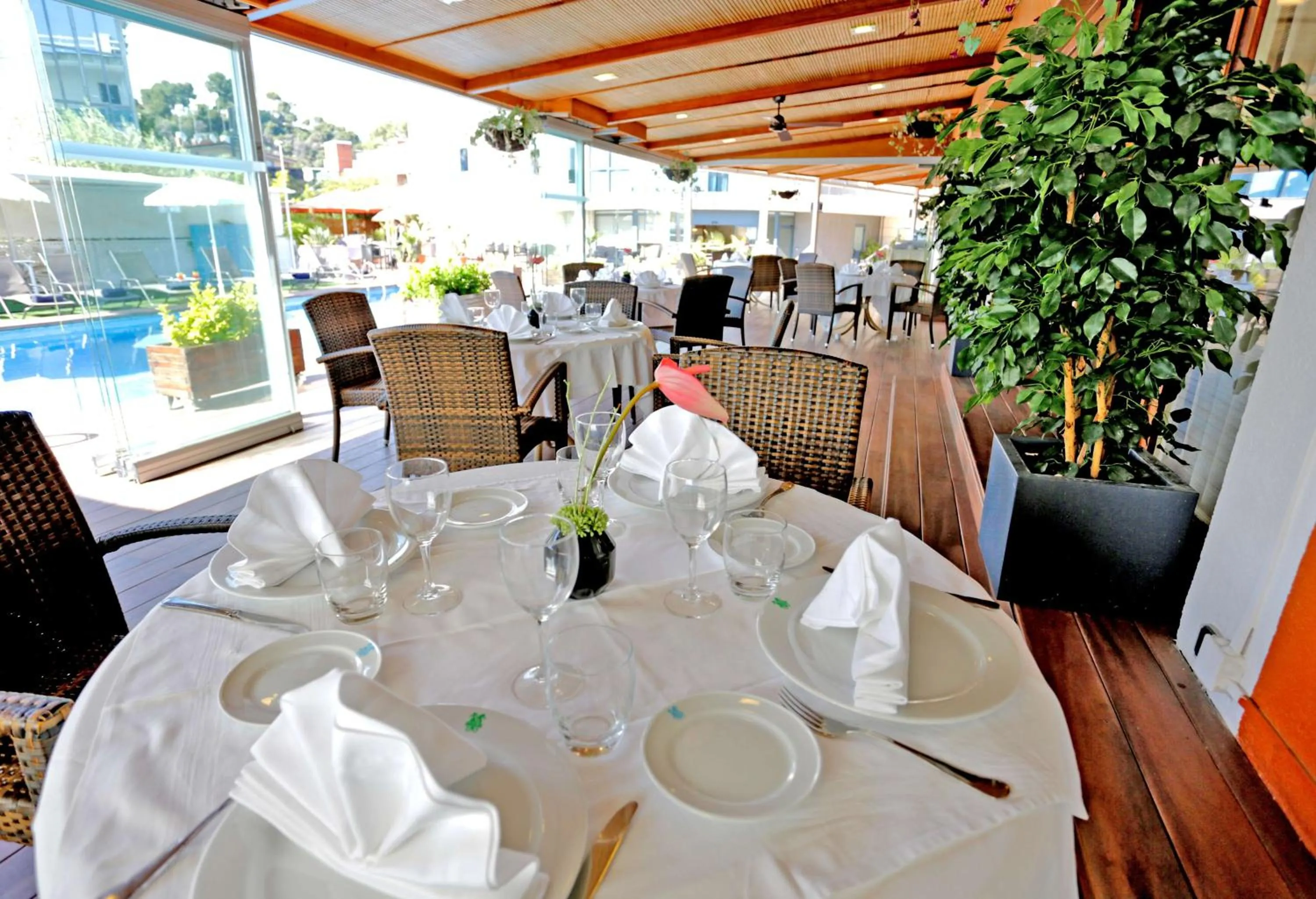 Restaurant/places to eat in Best Western Hotel Mediterraneo