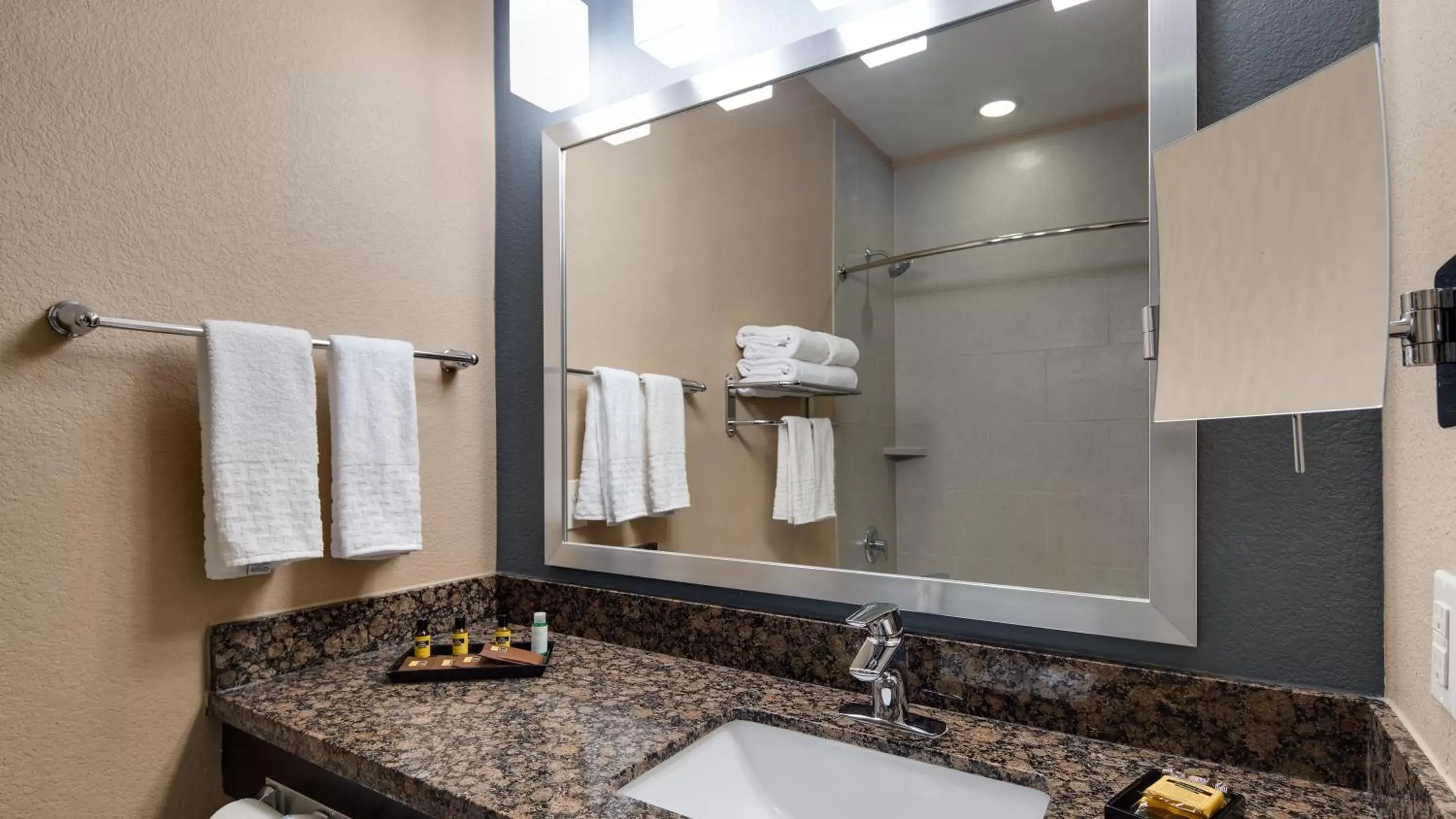 Bathroom in Best Western Plus Lake Jackson Inn & Suites