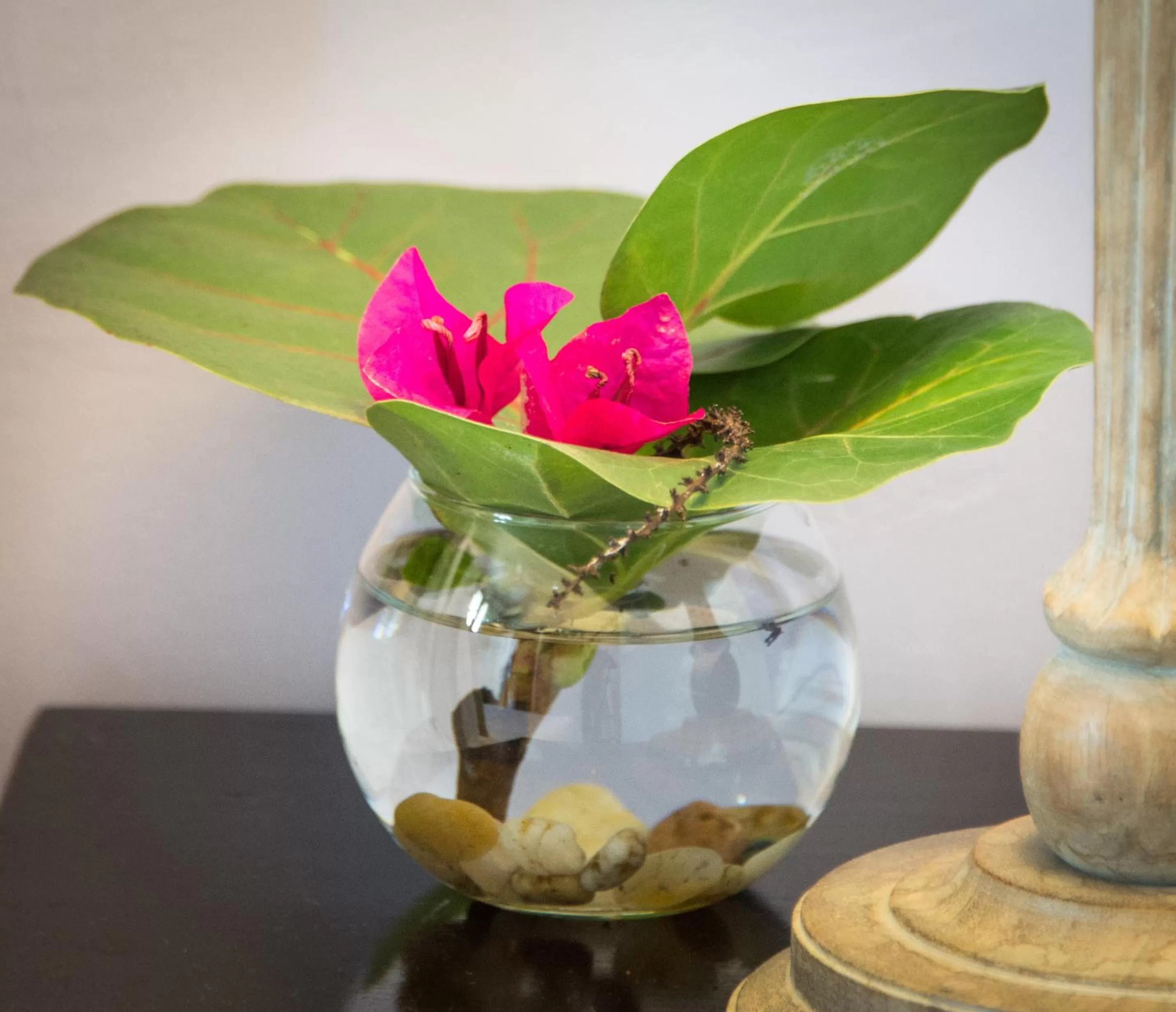 Decorative detail in Hotel l'Impératrice