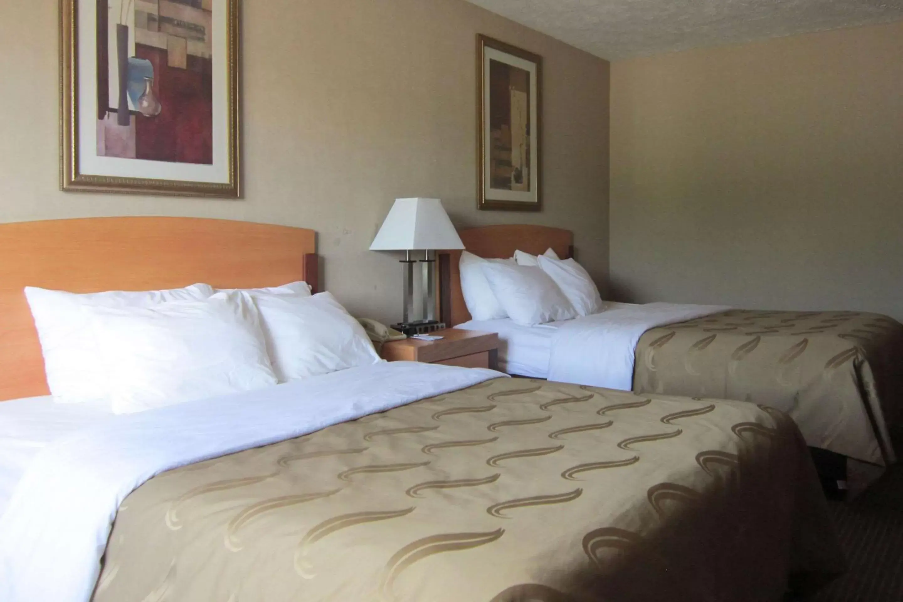 Photo of the whole room, Bed in Quality Inn Nashville – Bloomington