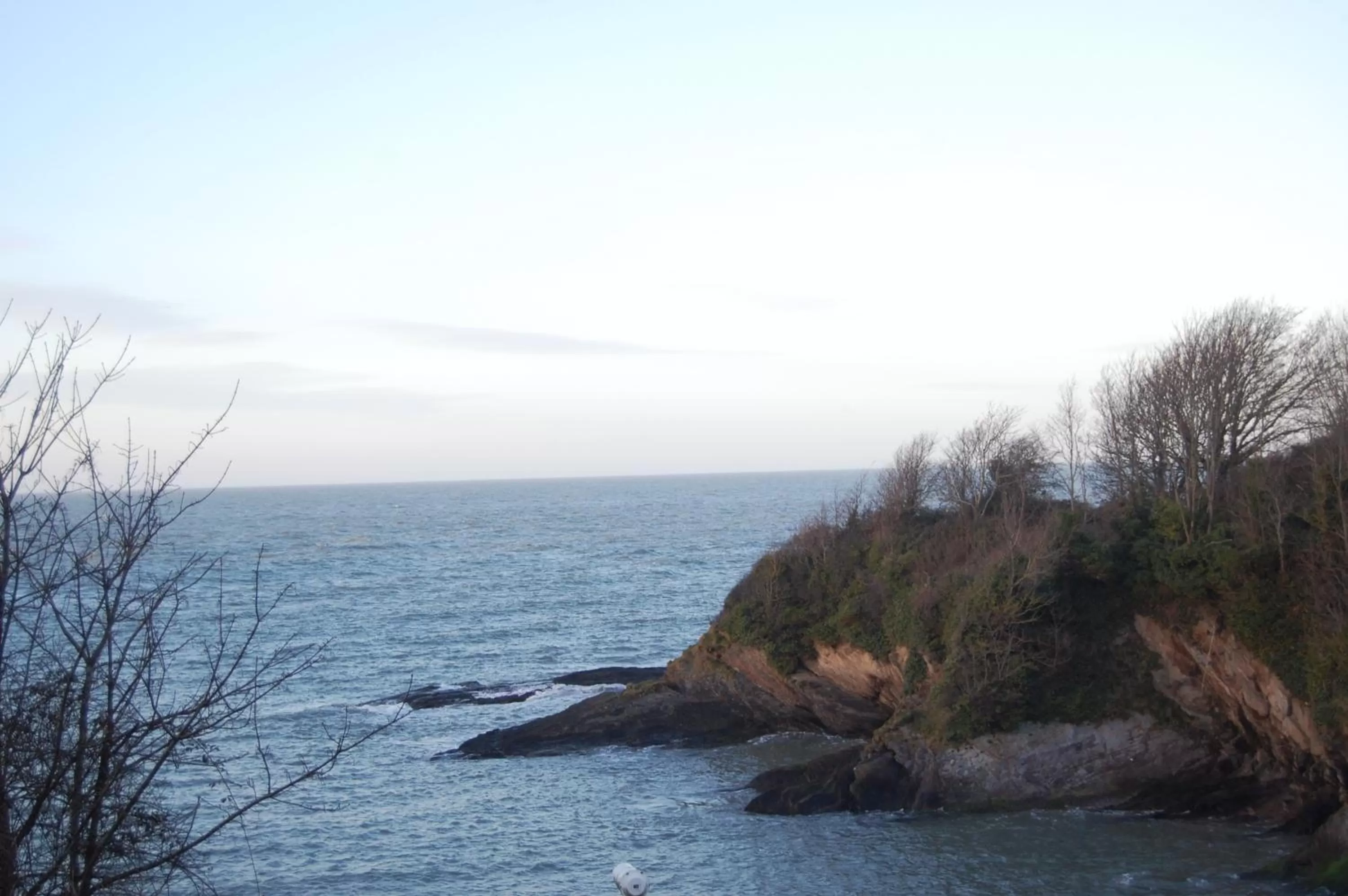 Natural landscape in The Olive Branch