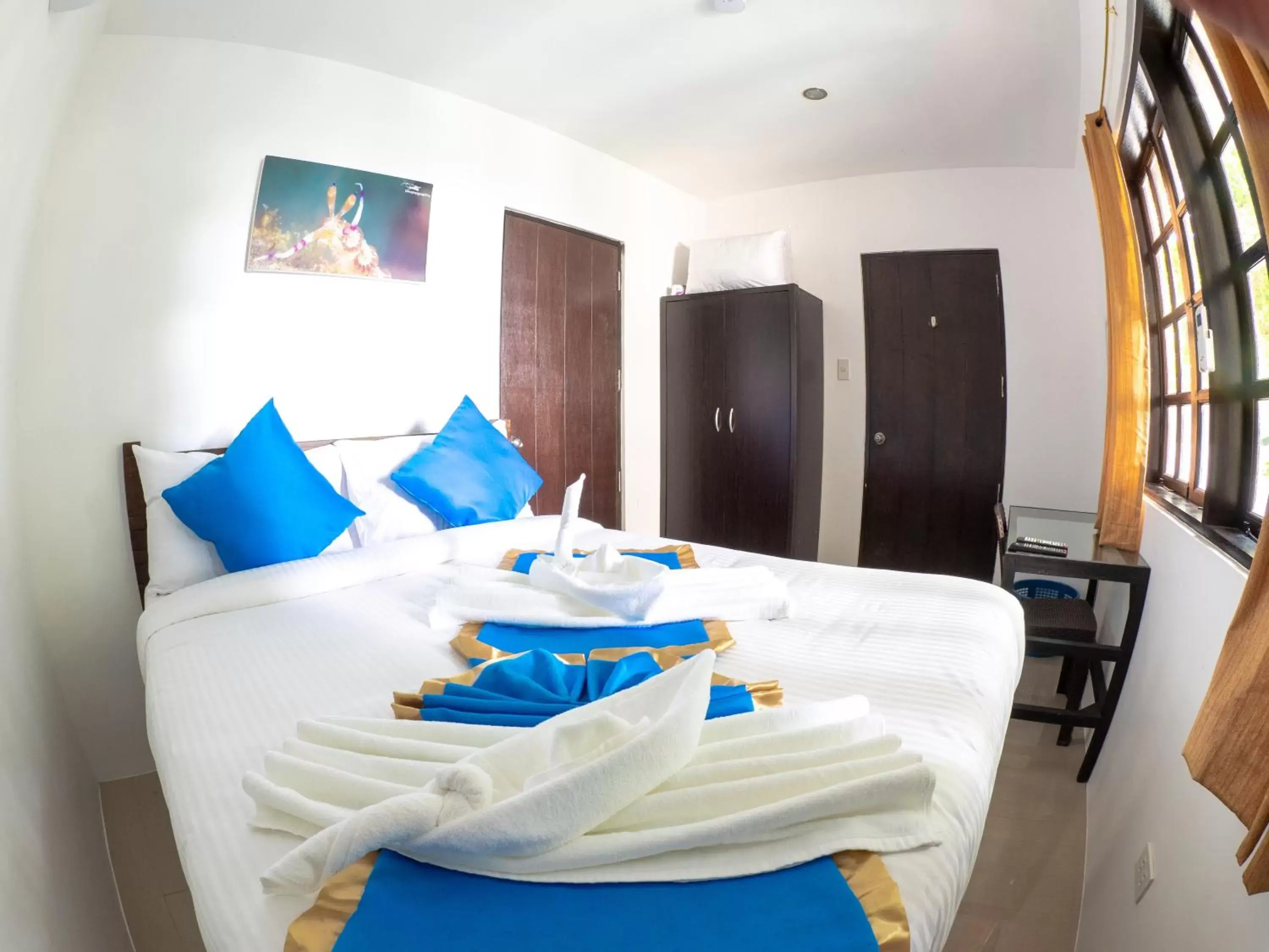 Small Double Room in Blue Ribbon Dive Resort Small Double Room in Blue Ribbon Dive Resort