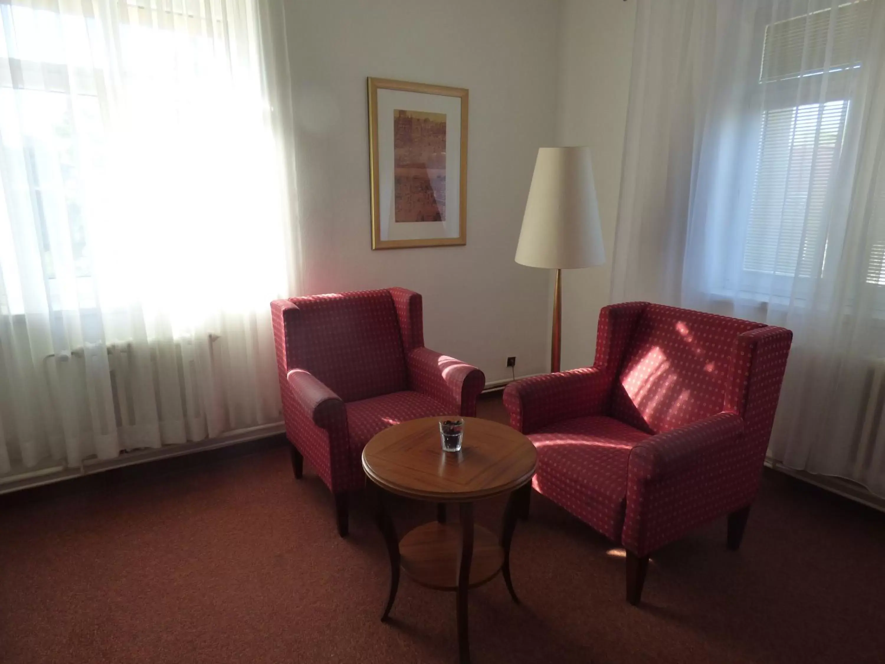 Seating Area in Hotel Svornost