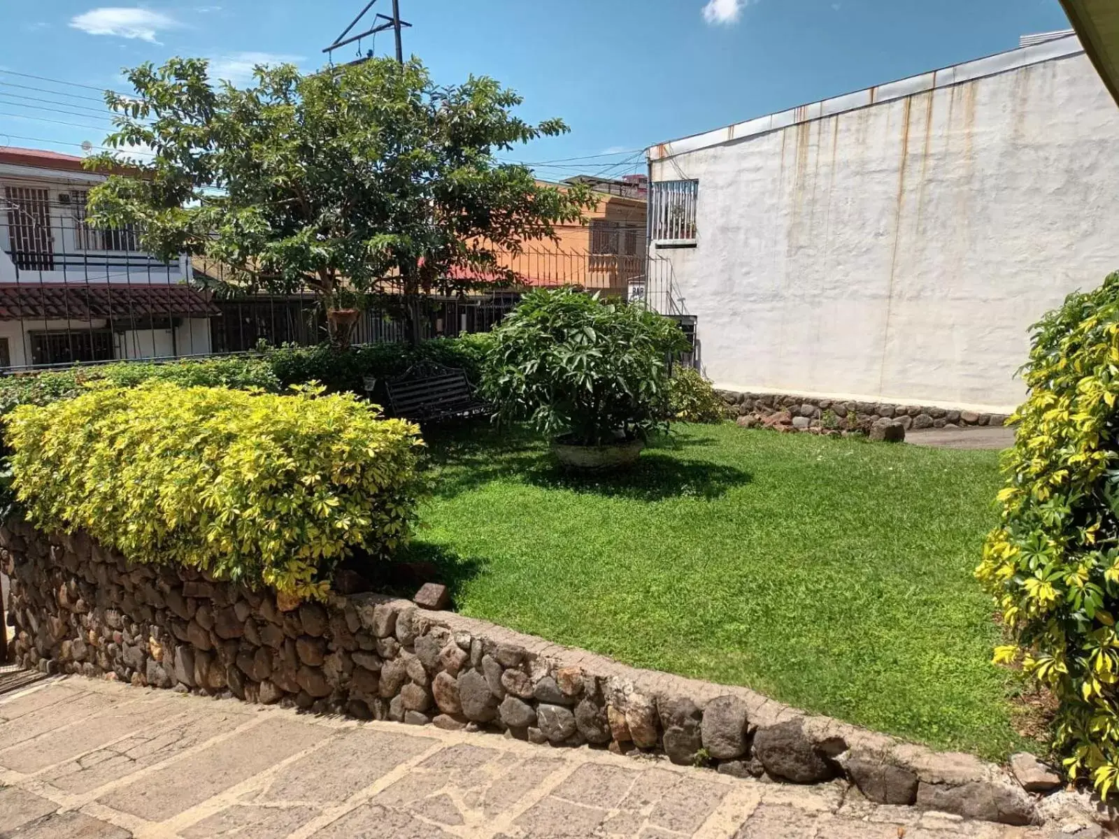 Garden in Hotel Casa Tago