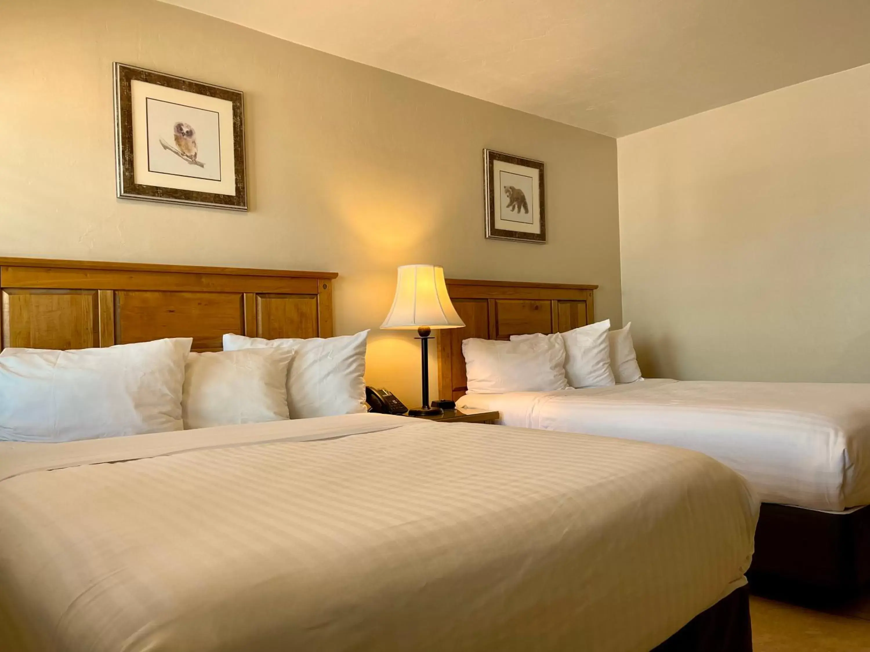 Bedroom, Bed in Arizona Sunset Inn & Suites