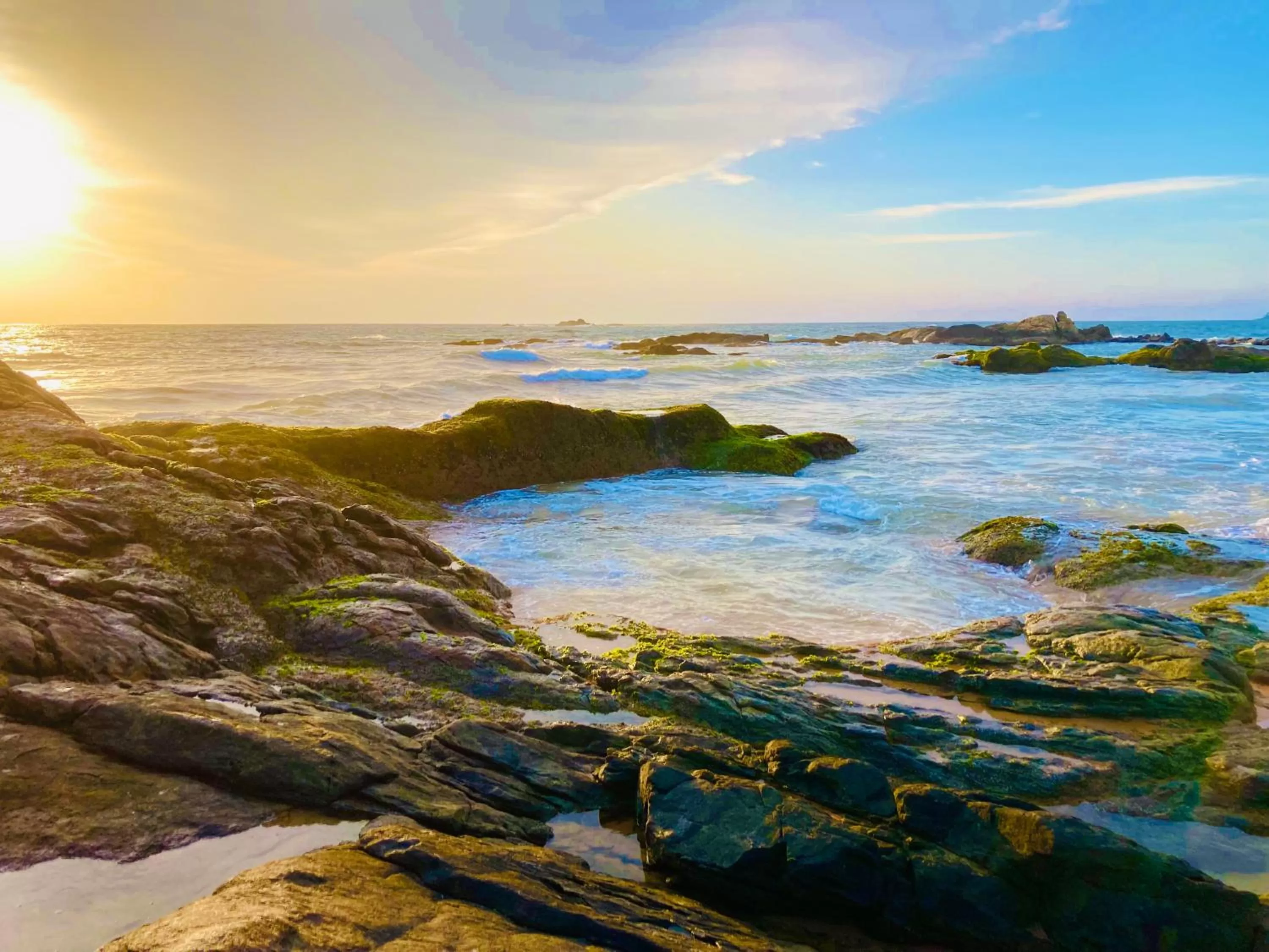 Natural Landscape in Manel Villa