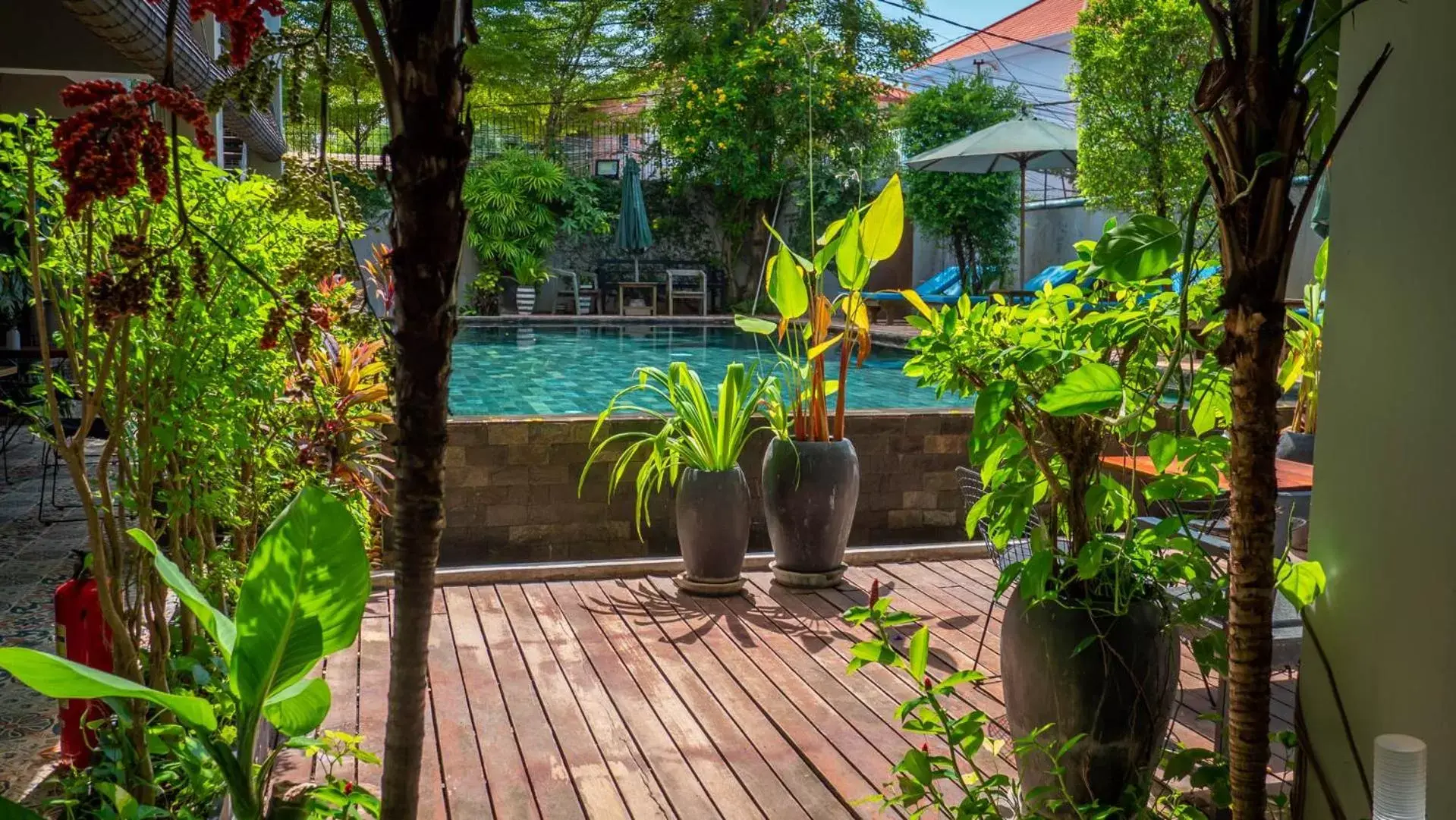 Swimming pool, Other Animals in Vihara Angkor