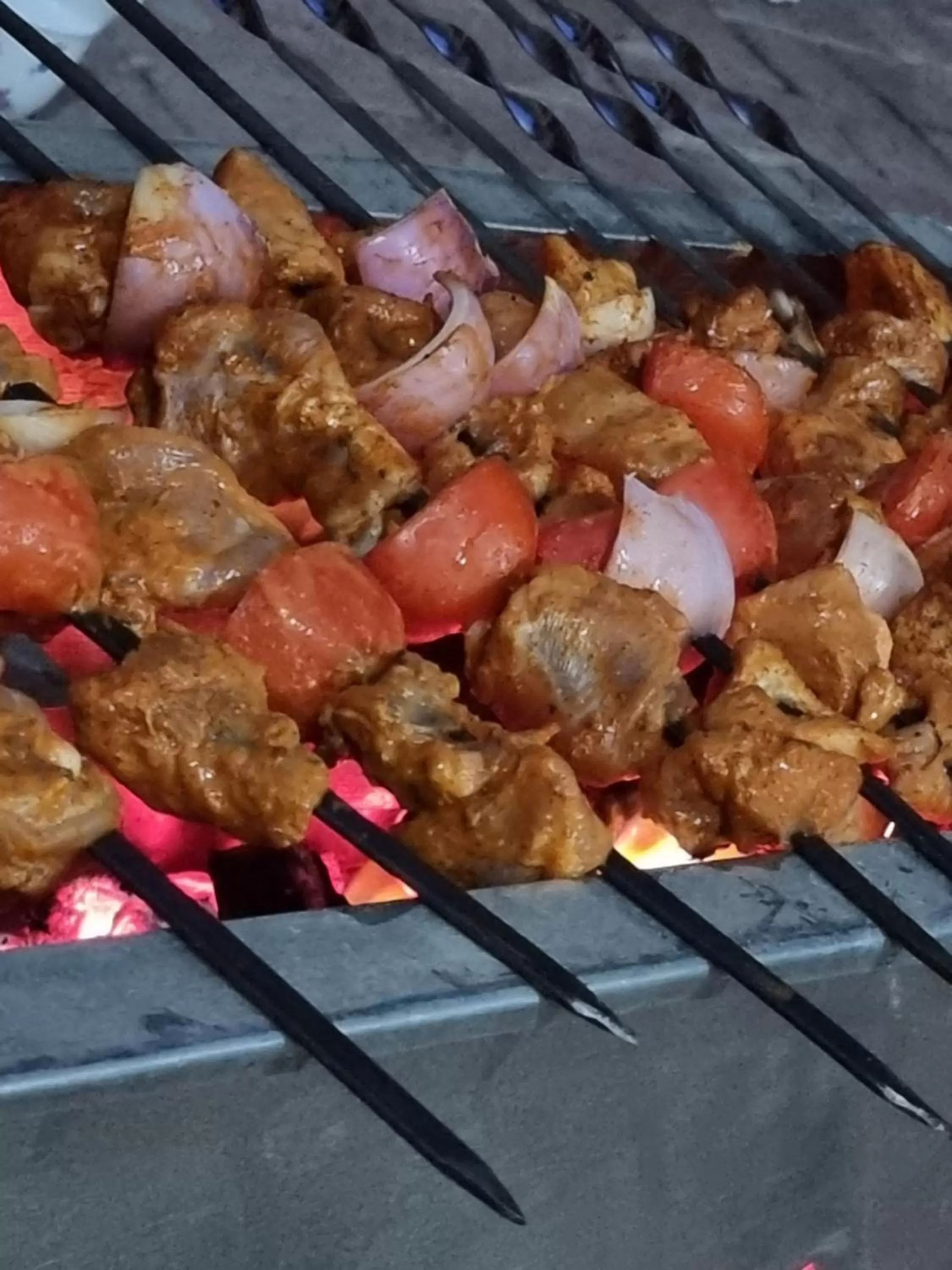 BBQ facilities in Srinagar Homes