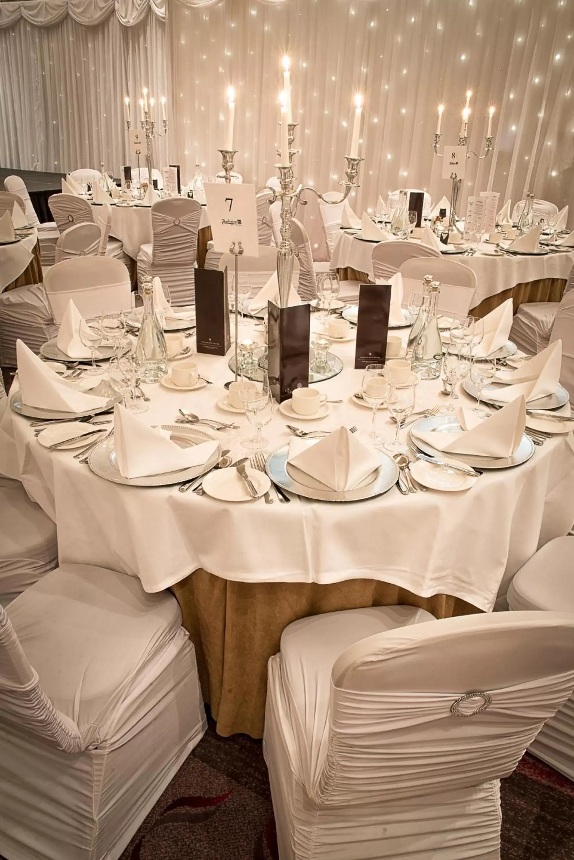 Banquet/Function facilities, Banquet Facilities in Radisson BLU Hotel & Spa, Little Island Cork