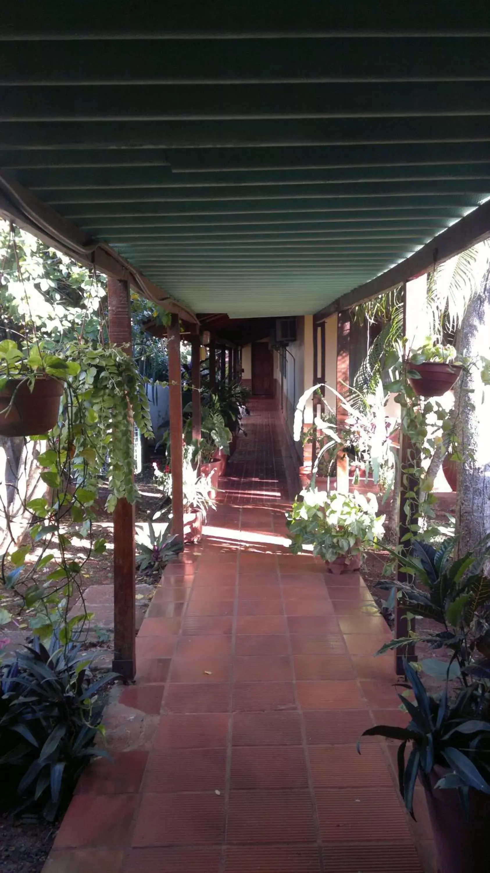 Patio in Hosteria Los Helechos