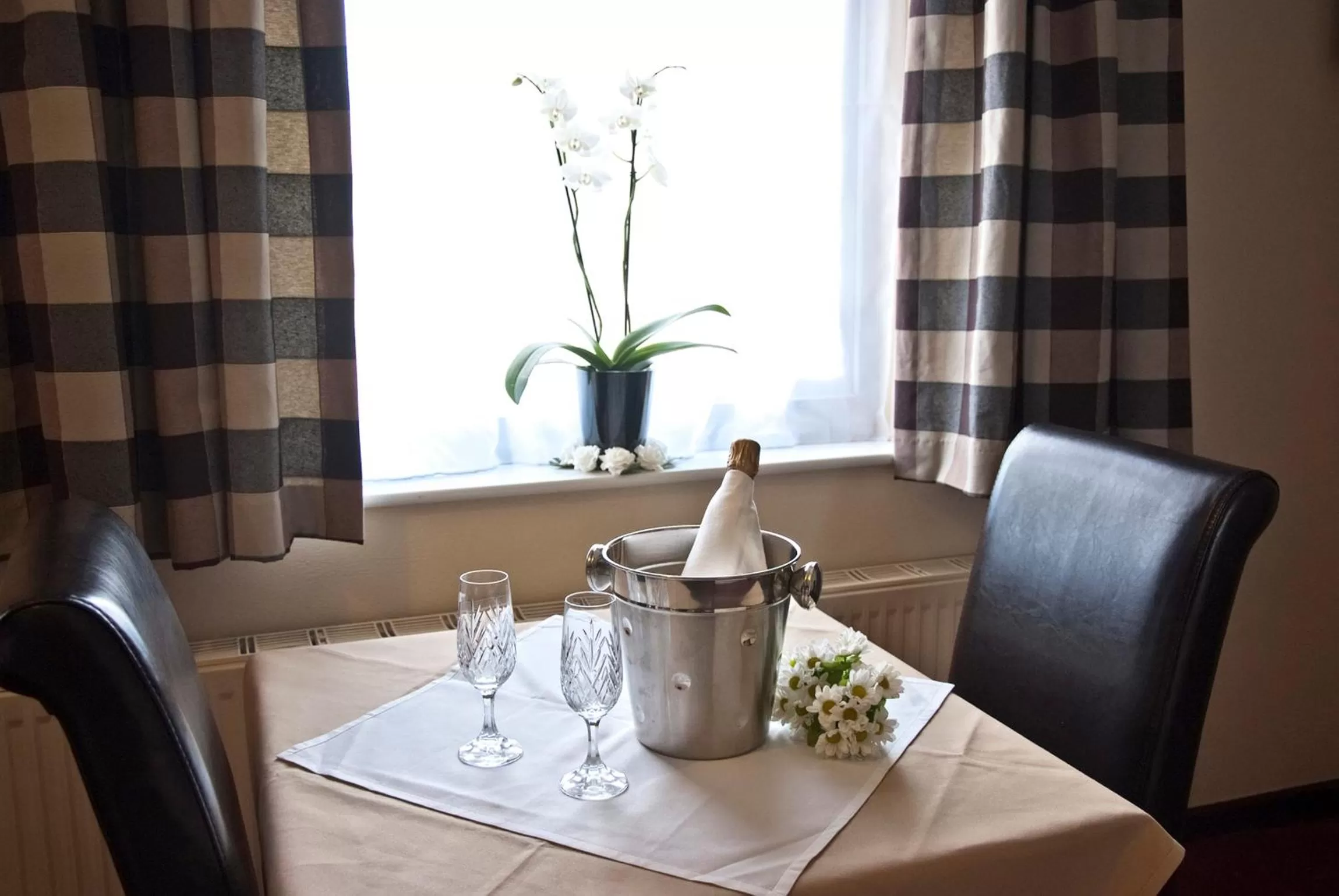 Day, Drinks in Tricky's Hotel