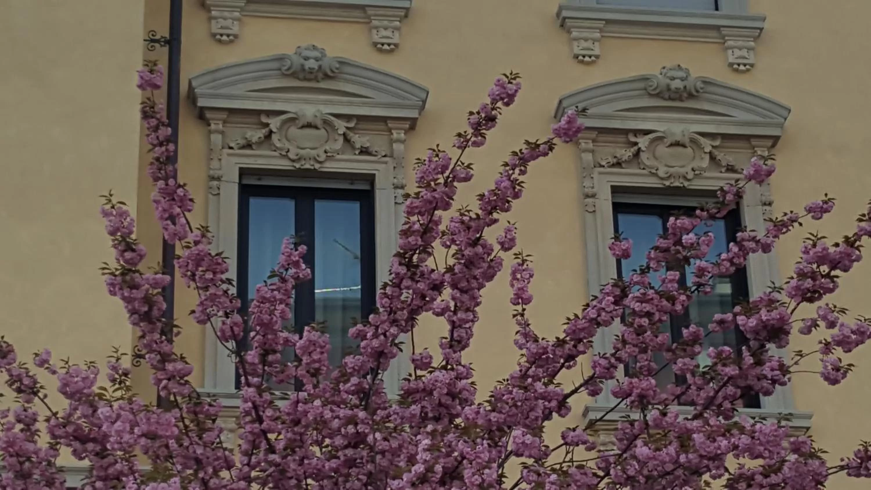 Spring in Hotel La Nuova Rotaia