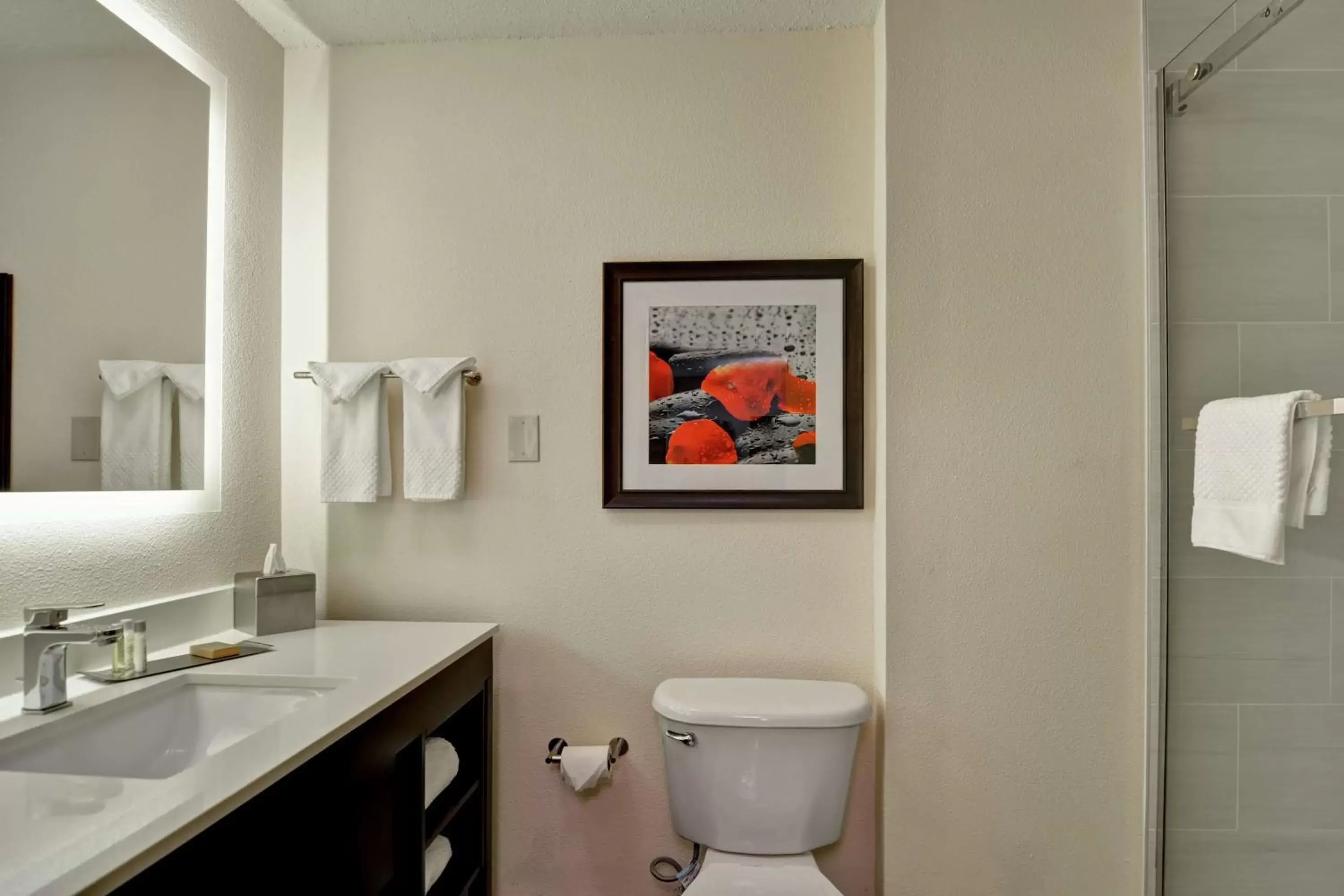 Bathroom in DoubleTree by Hilton Hattiesburg, MS