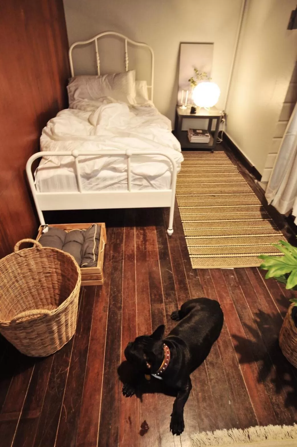 Pets, Bed in A Day Villa Chiangmai