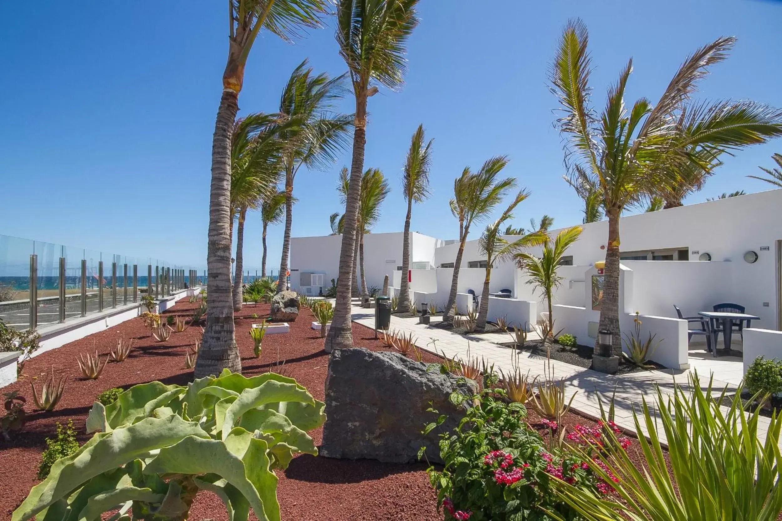 Garden in Hotel Las Costas