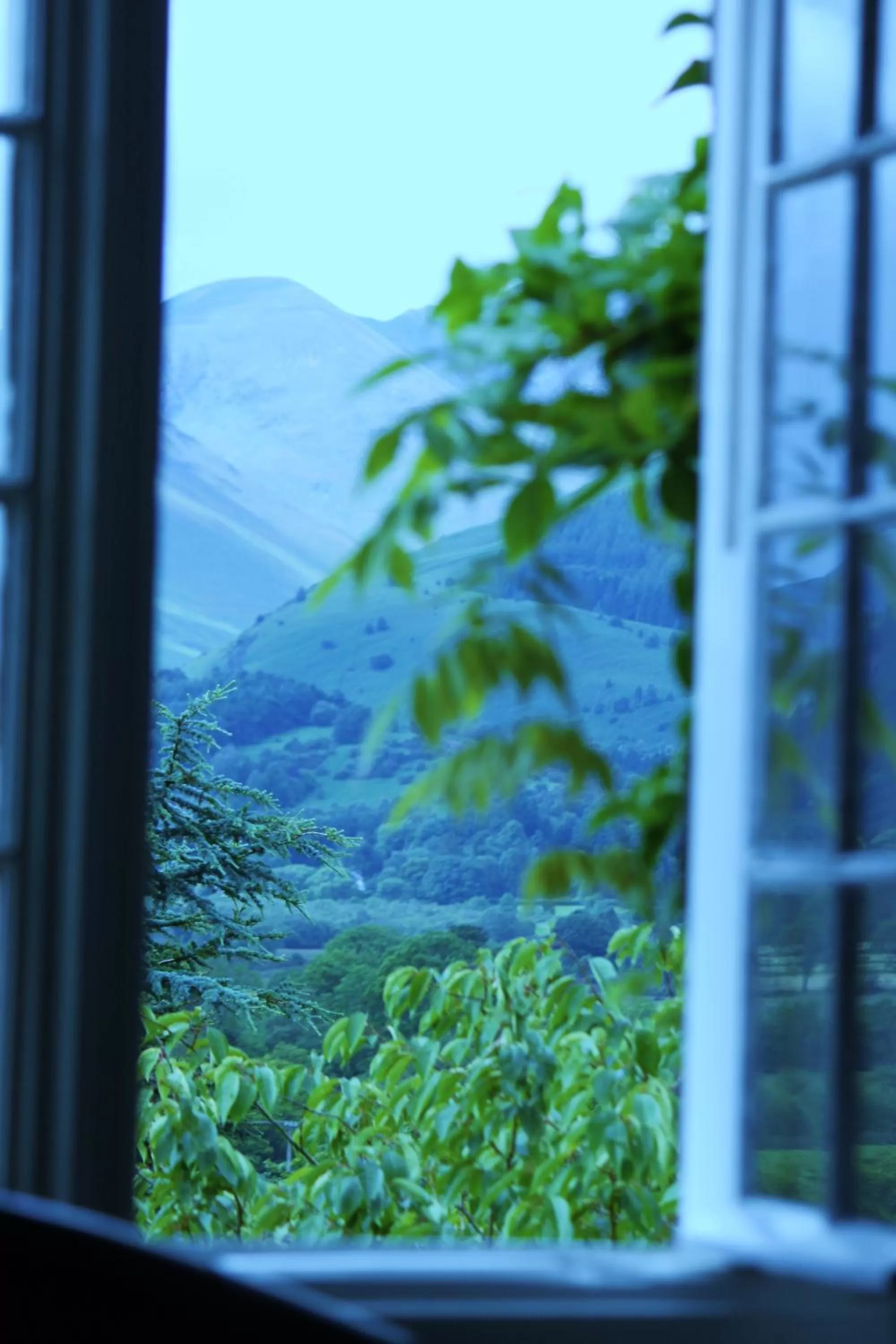 Decorative detail, Mountain View in Lyzzick Hall Hotel