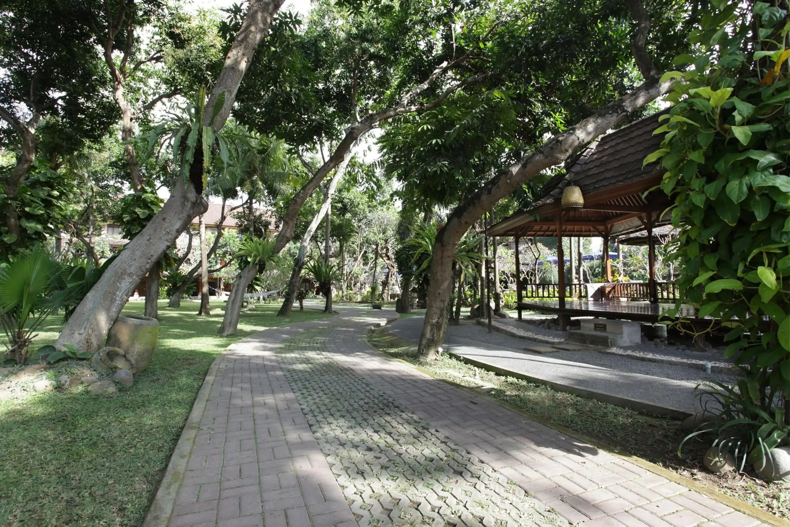 Garden in Matahari Bungalow Hotel