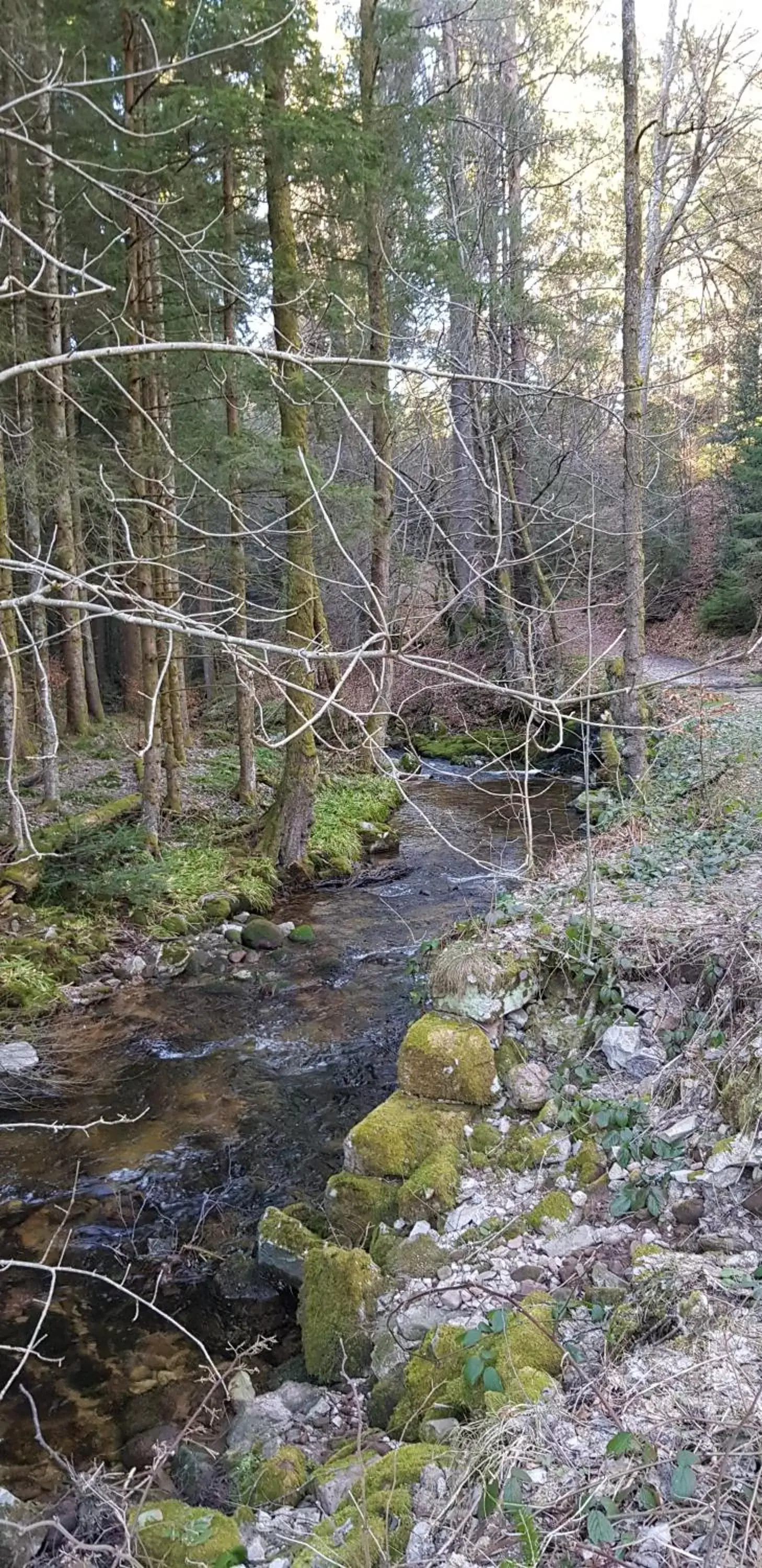 Natural Landscape in Hotel Teuchelwald