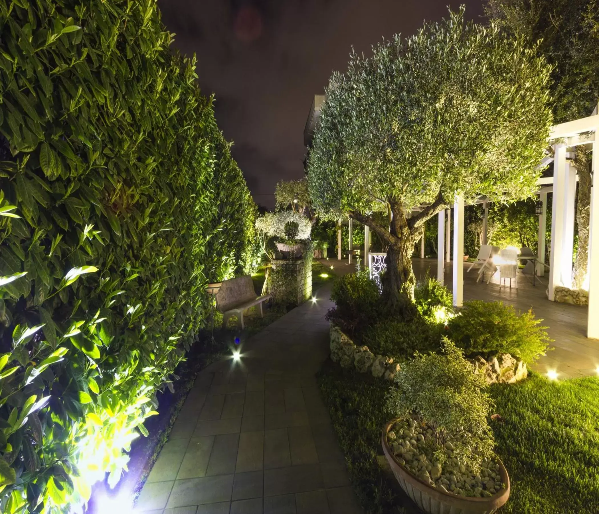 Garden in Hotel Villa Clementina