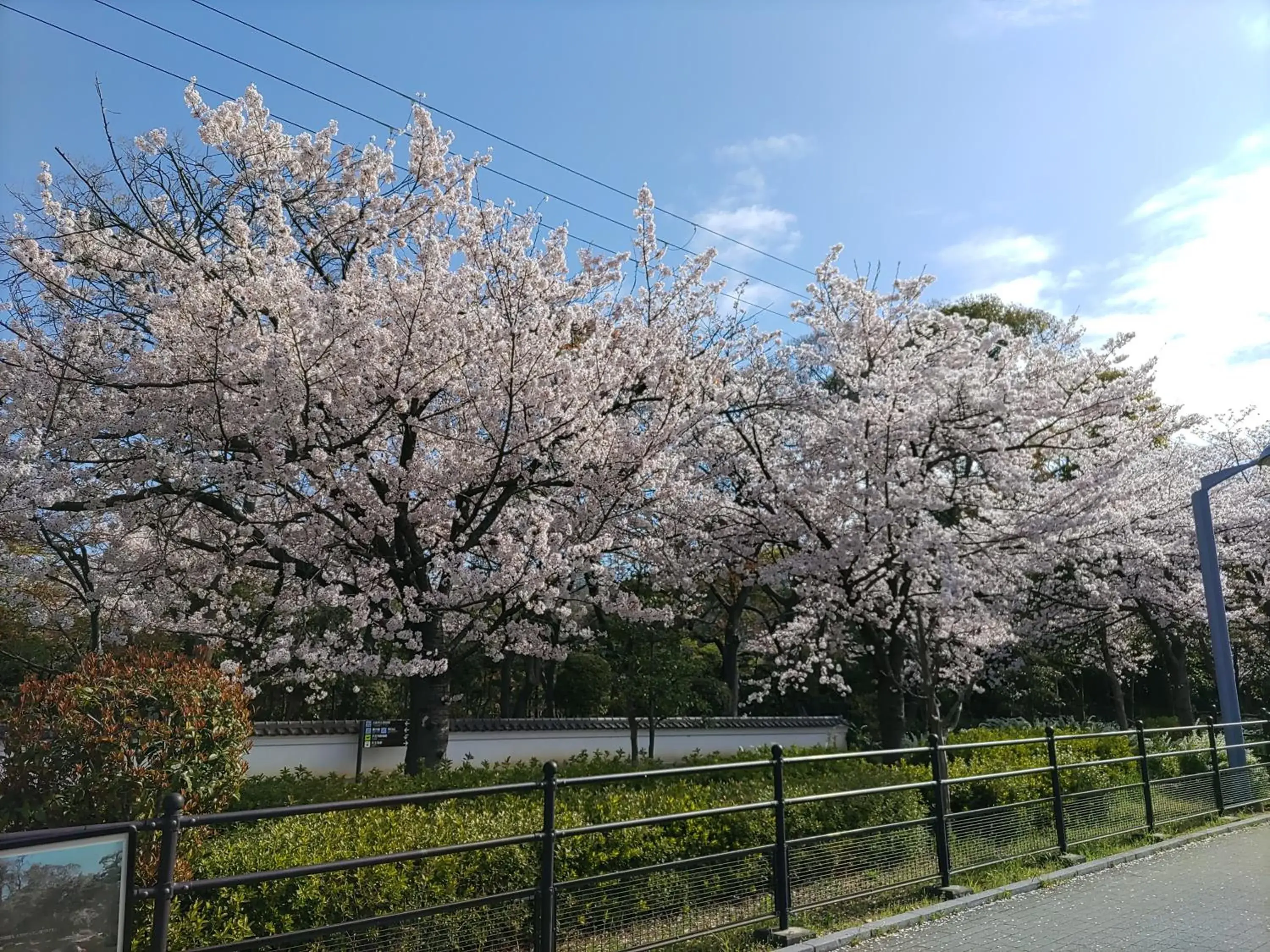 Nearby landmark in Joytel Hotel Shinsekai Sakaisujidori