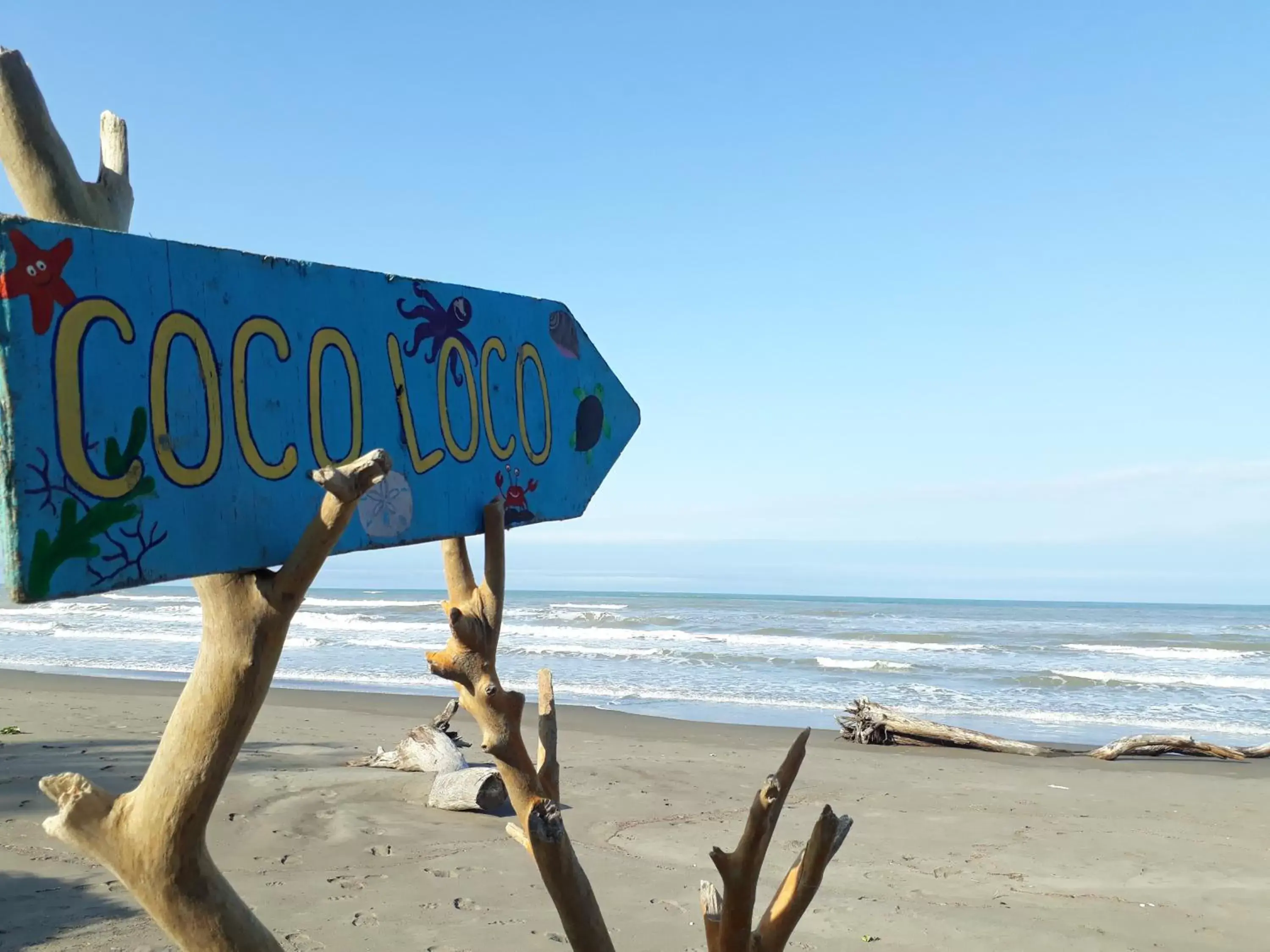 Beach in Eco Coco Loco by Rotamundos