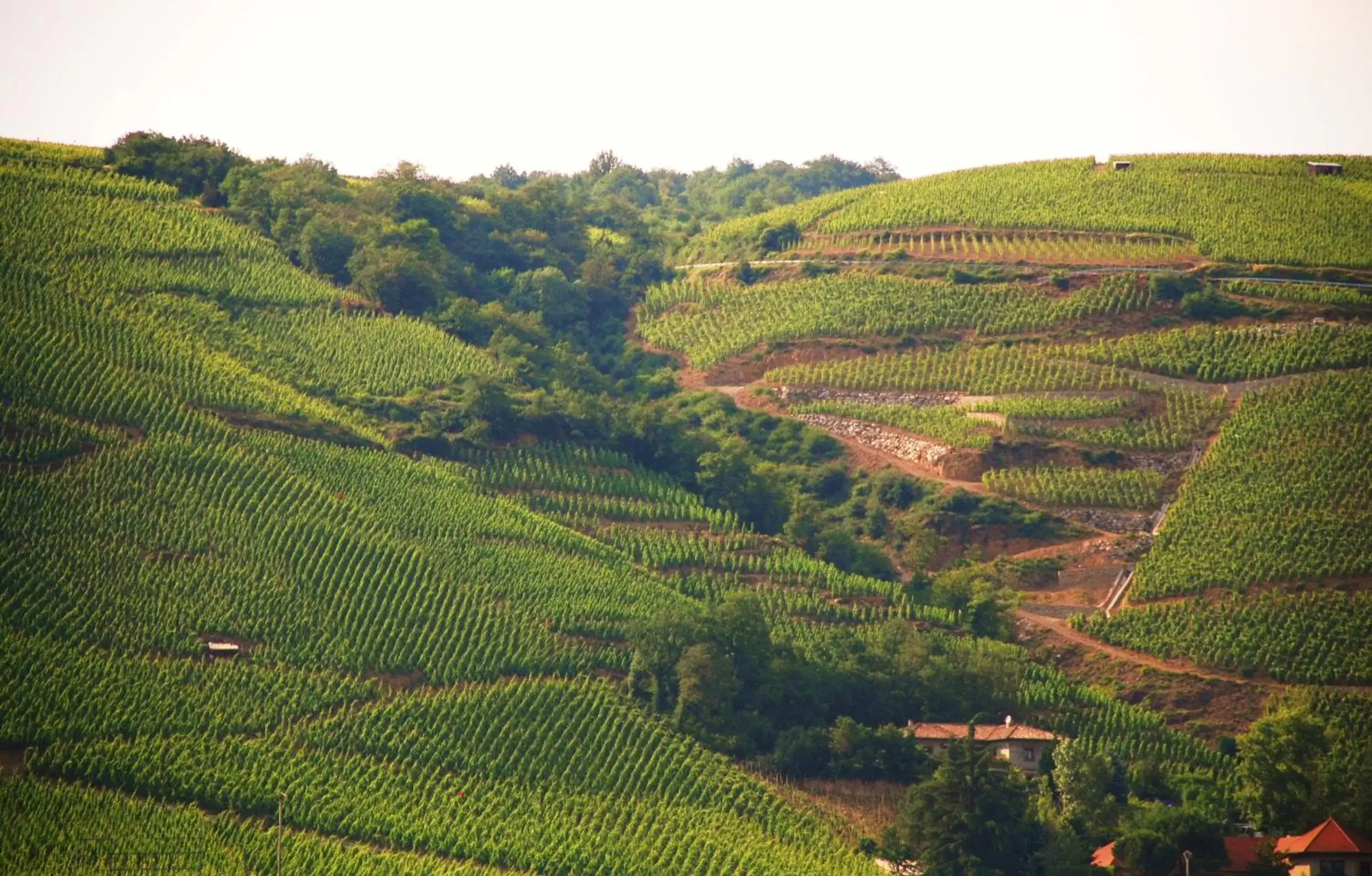 Nearby landmark, Natural Landscape in IBIS Lyon Sud Chasse Sur Rhône