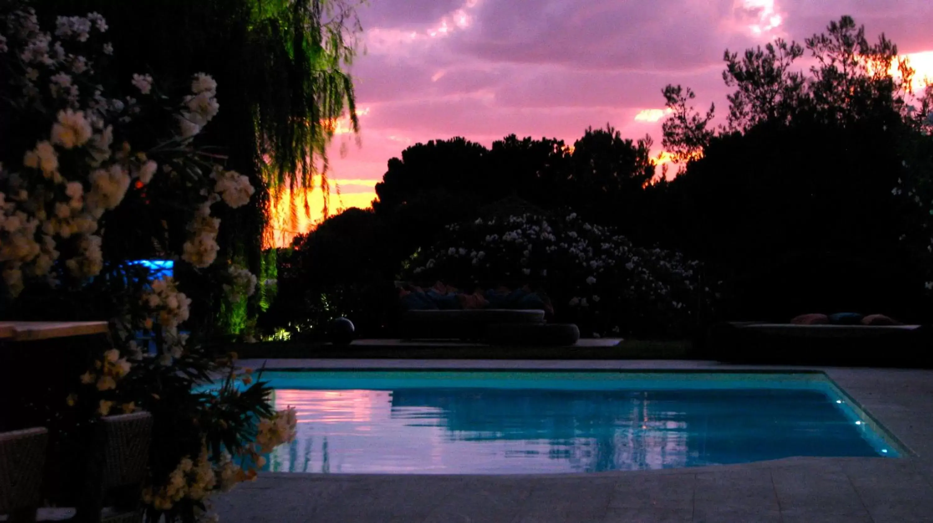 Garden in Hotel Bartaccia