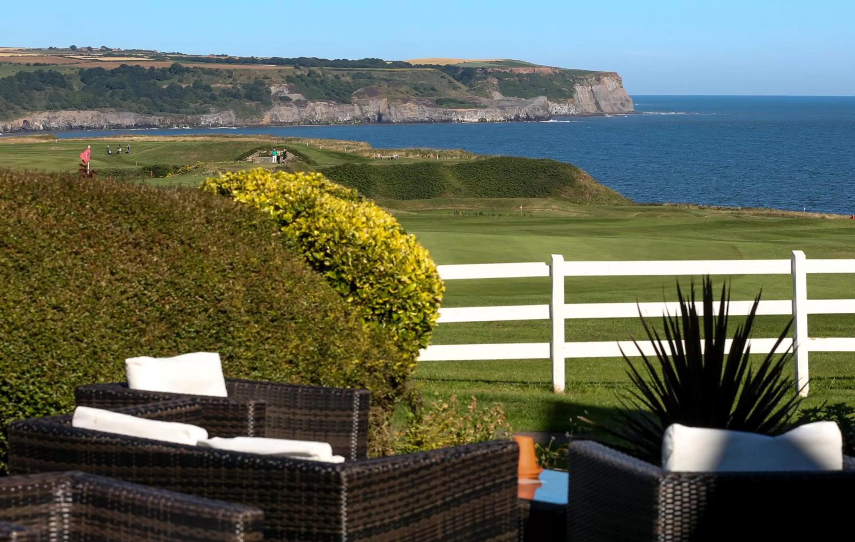 Garden in The White House Inn - Whitby