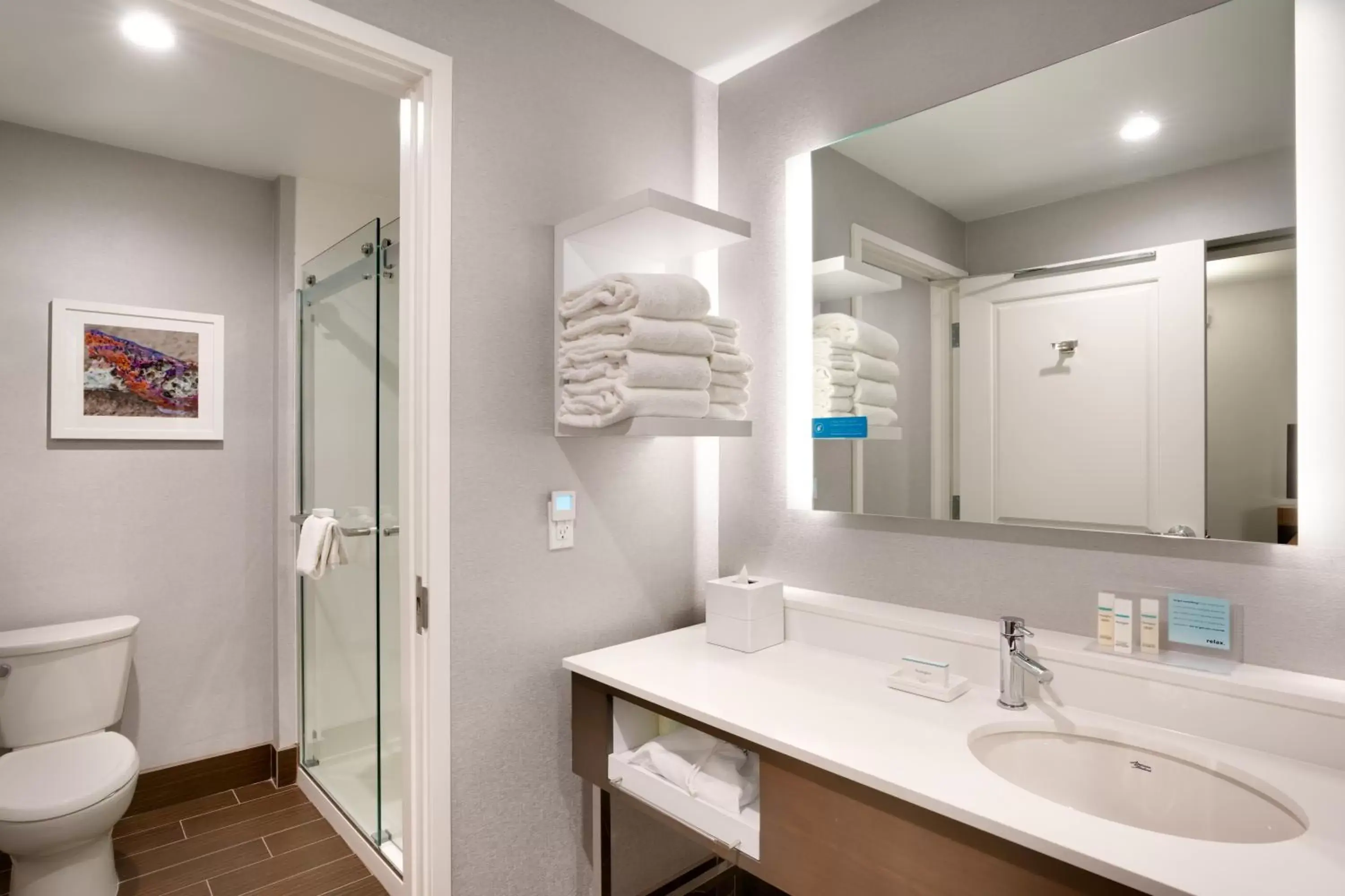 Bathroom in Hampton Inn & Suites Anaheim Resort Convention Center