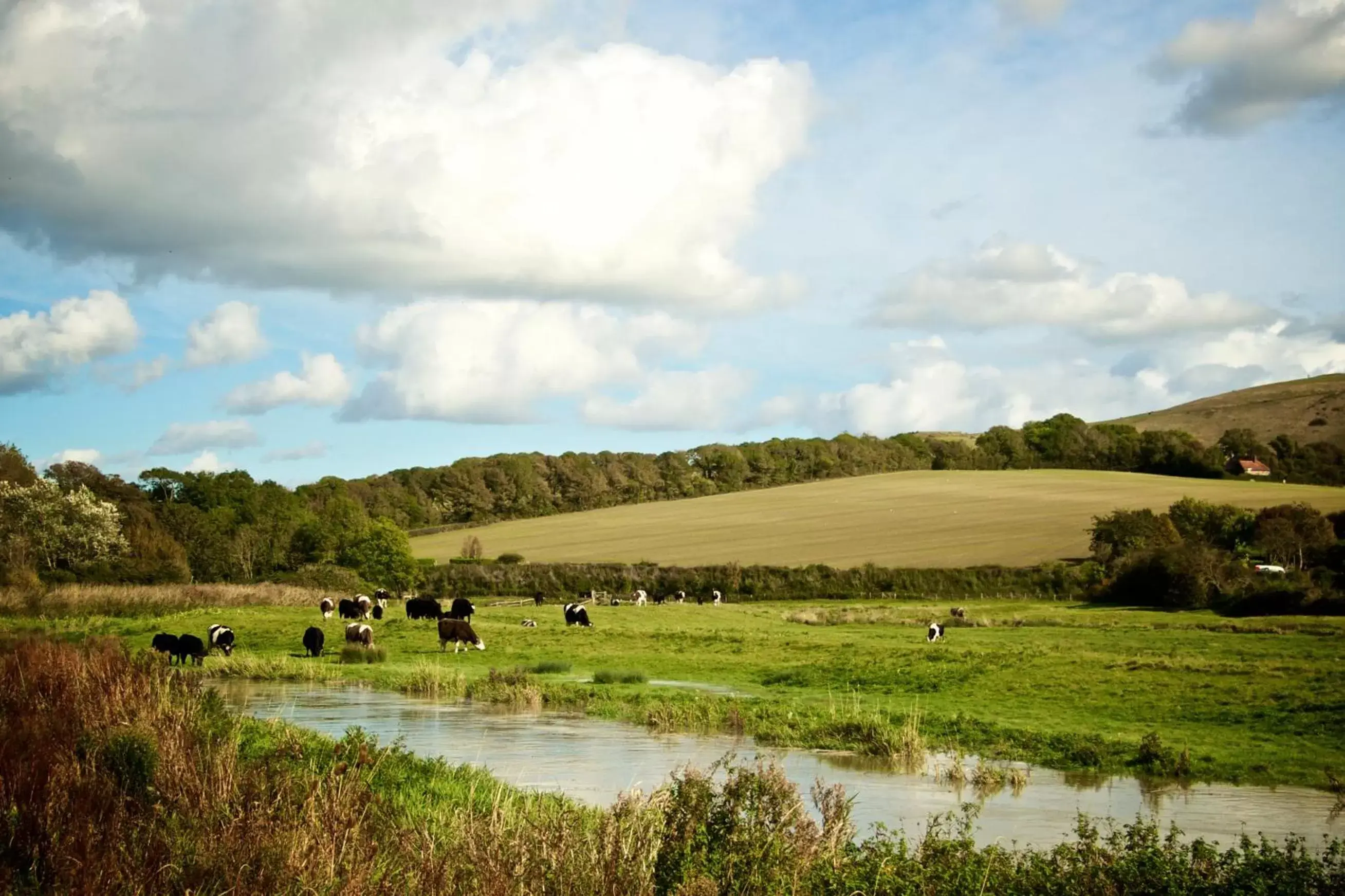 Nearby landmark, Natural Landscape in Deans Place Hotel