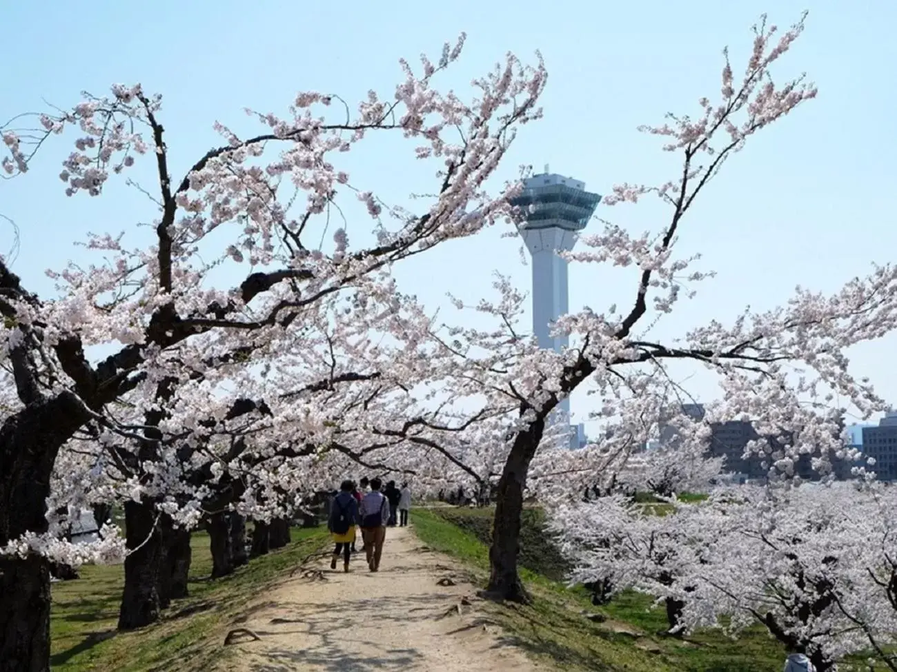 Nearby landmark in Smile Hotel Premium Hakodate Goryokaku