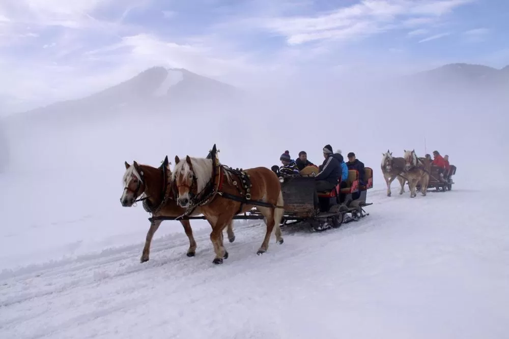 Entertainment in Bergführerhaus