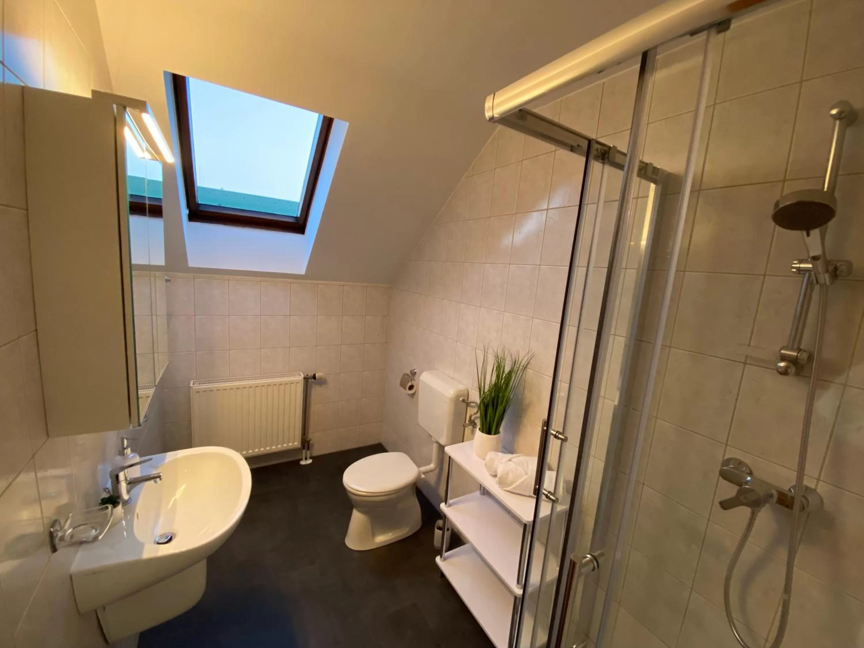 Bathroom in Villa Tara Bük