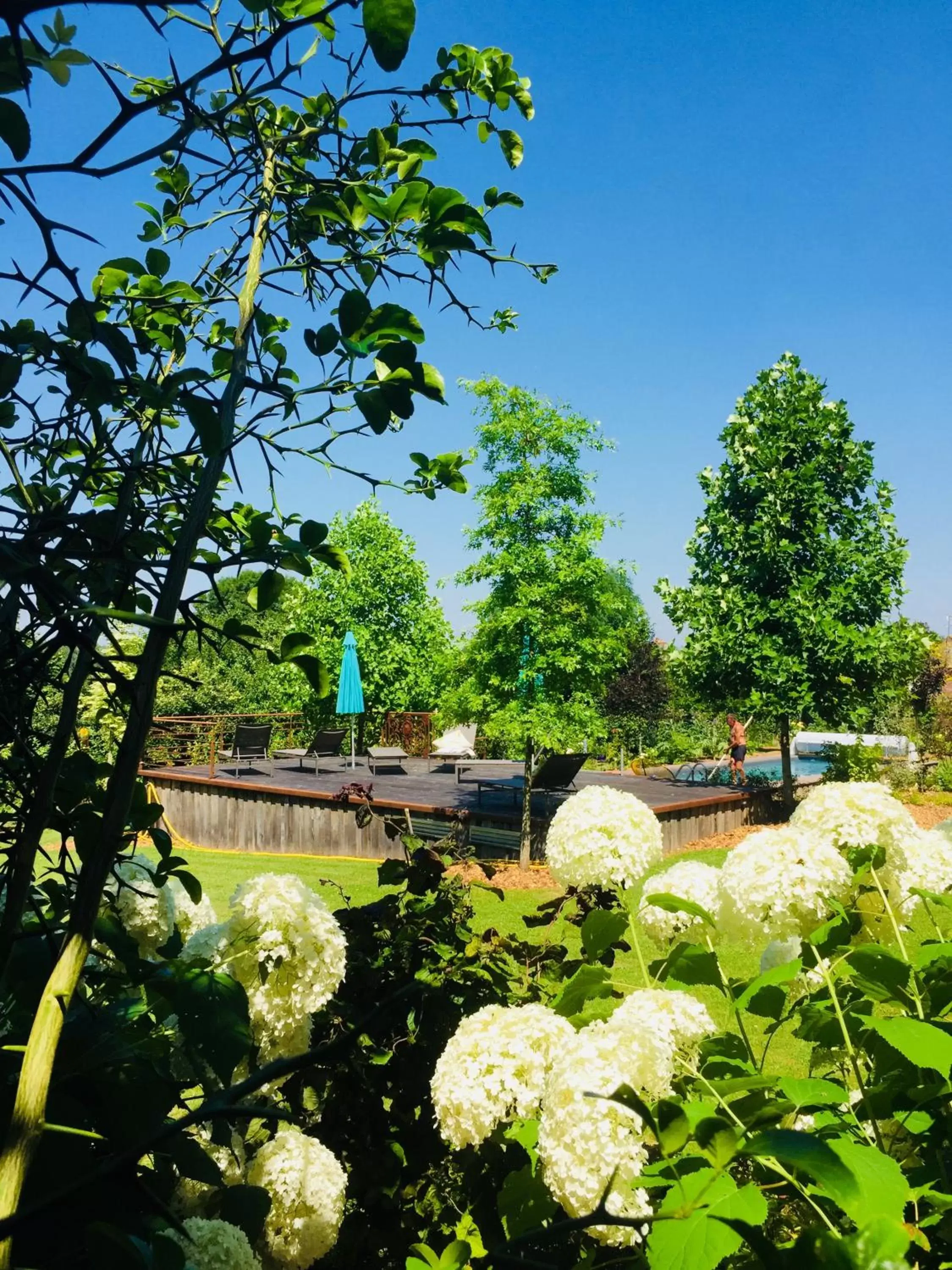 Patio, Garden in L'Ecole des Garçons