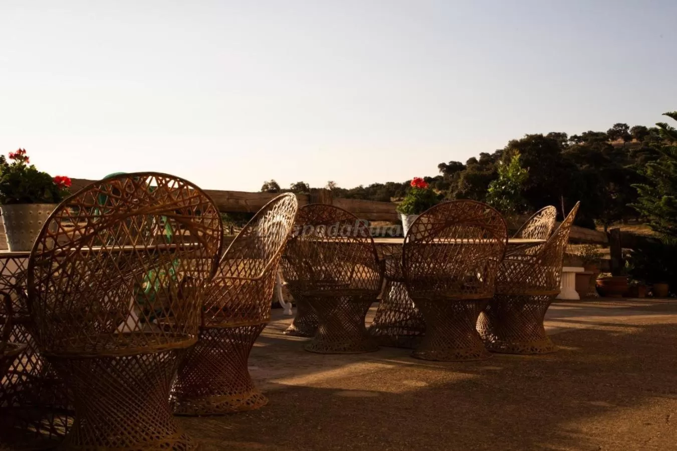 Day in Alojamiento Rural Finca Barral