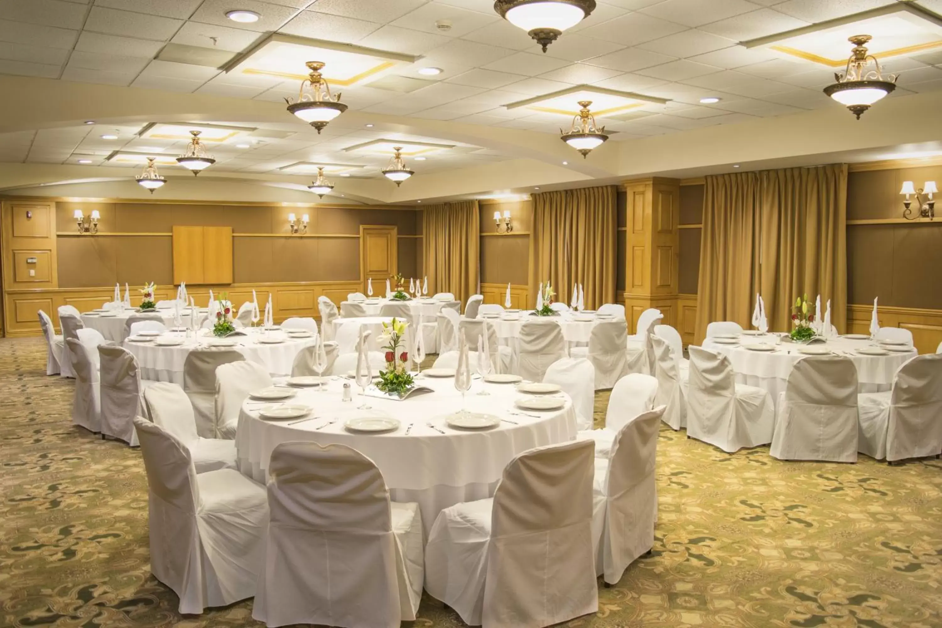 Meeting/conference room, Banquet Facilities in Holiday Inn Express Guanajuato, an IHG Hotel