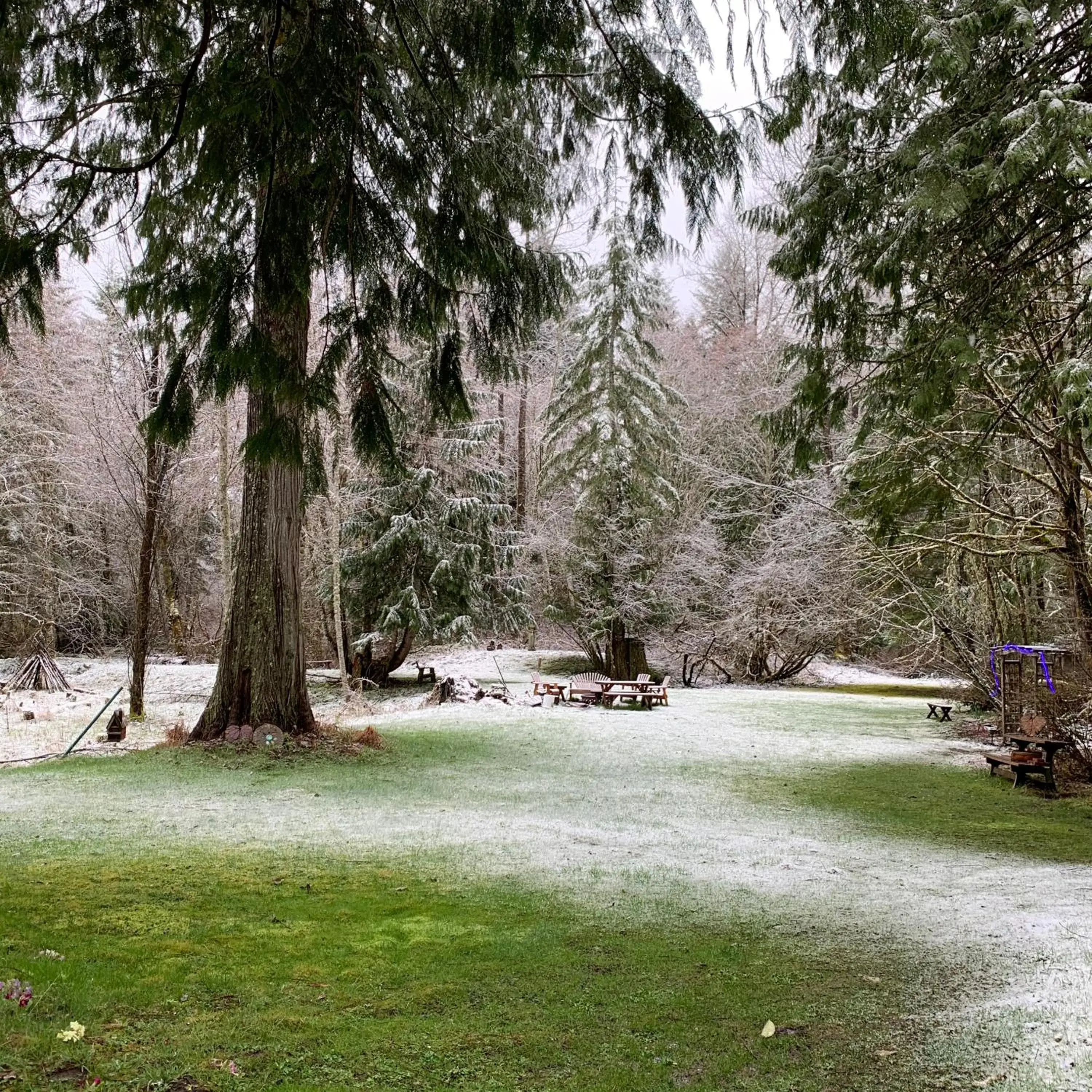 Natural landscape in Mountain Meadows Inn