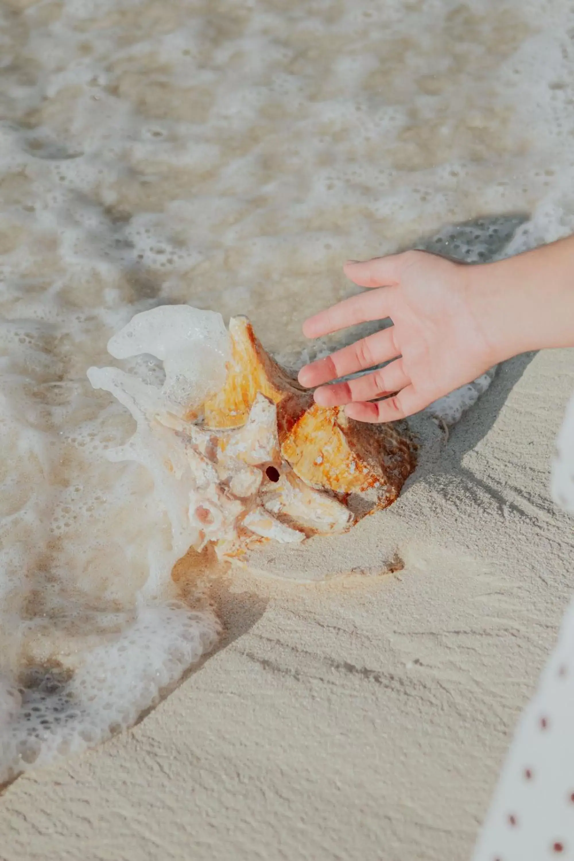 Beach in Ixchel Beach Hotel