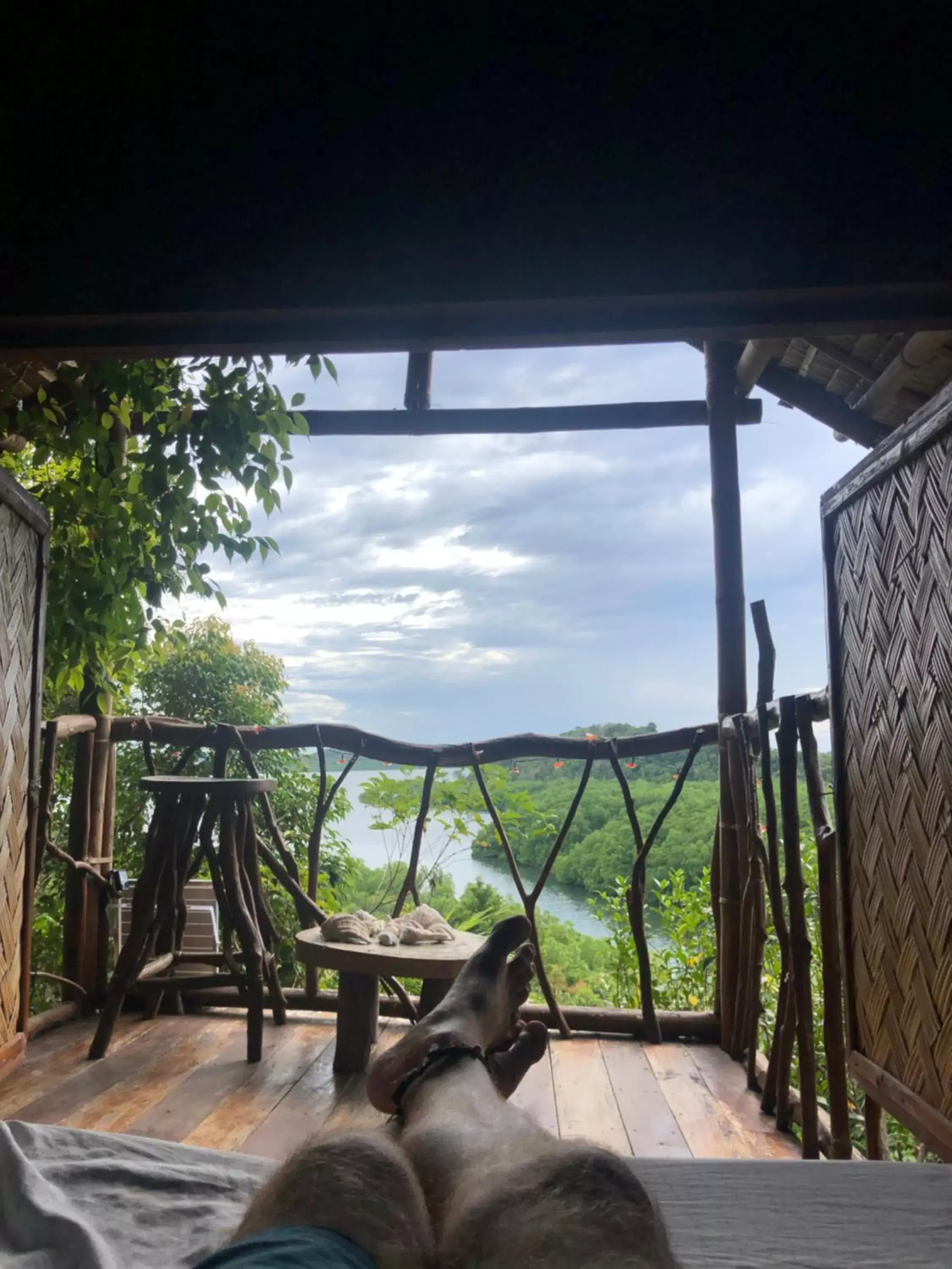 Sanctuaria Treehouses Busuanga