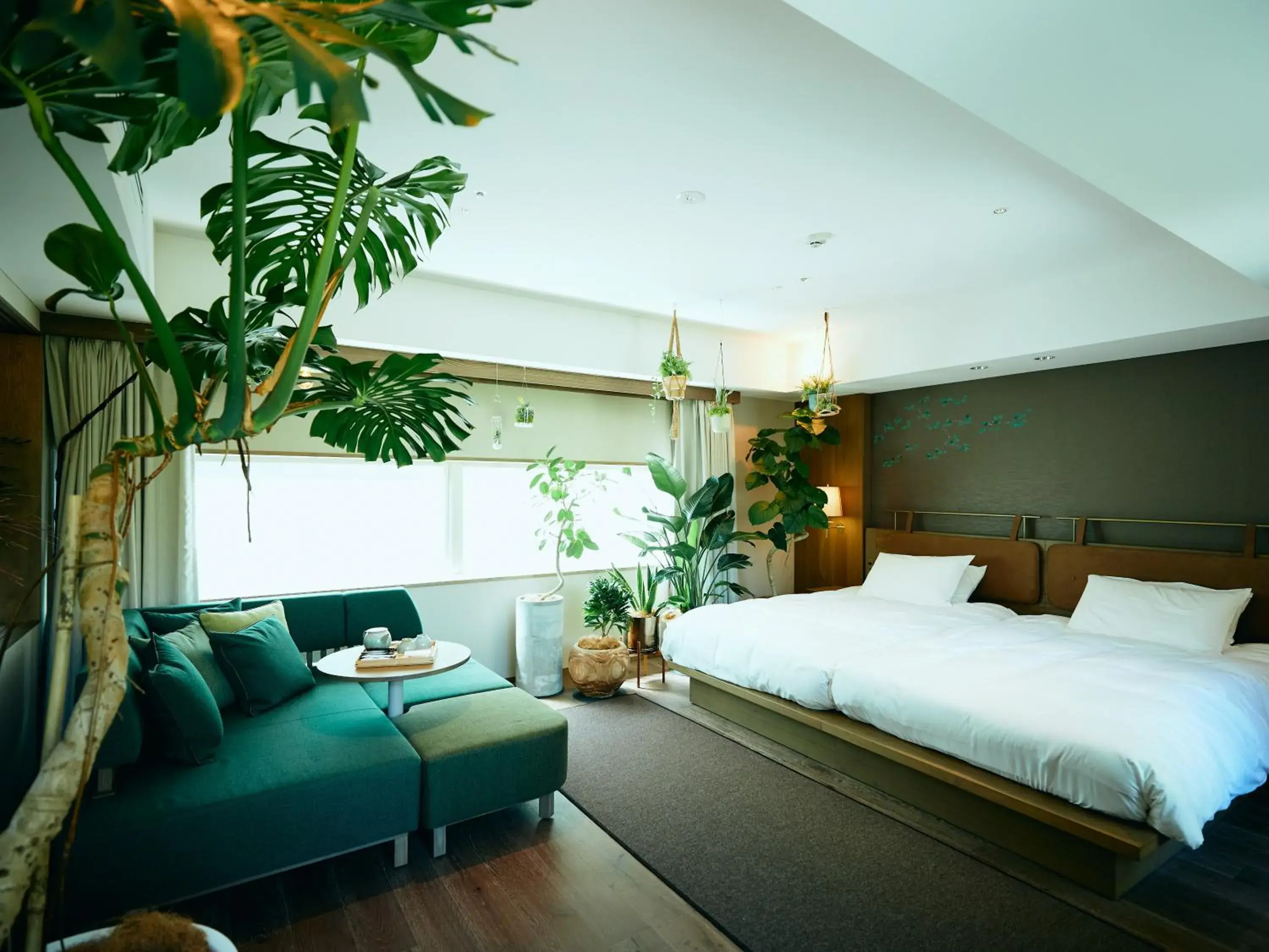 Photo of the whole room in GOOD NATURE HOTEL KYOTO