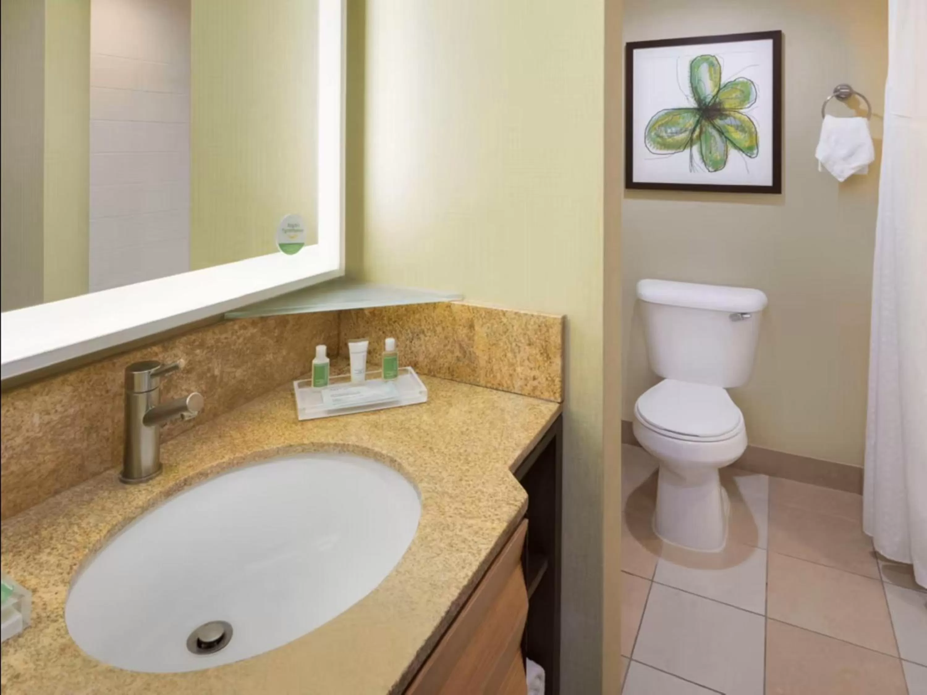 Bathroom in Holiday Inn San Jose-Silicon Valley by IHG