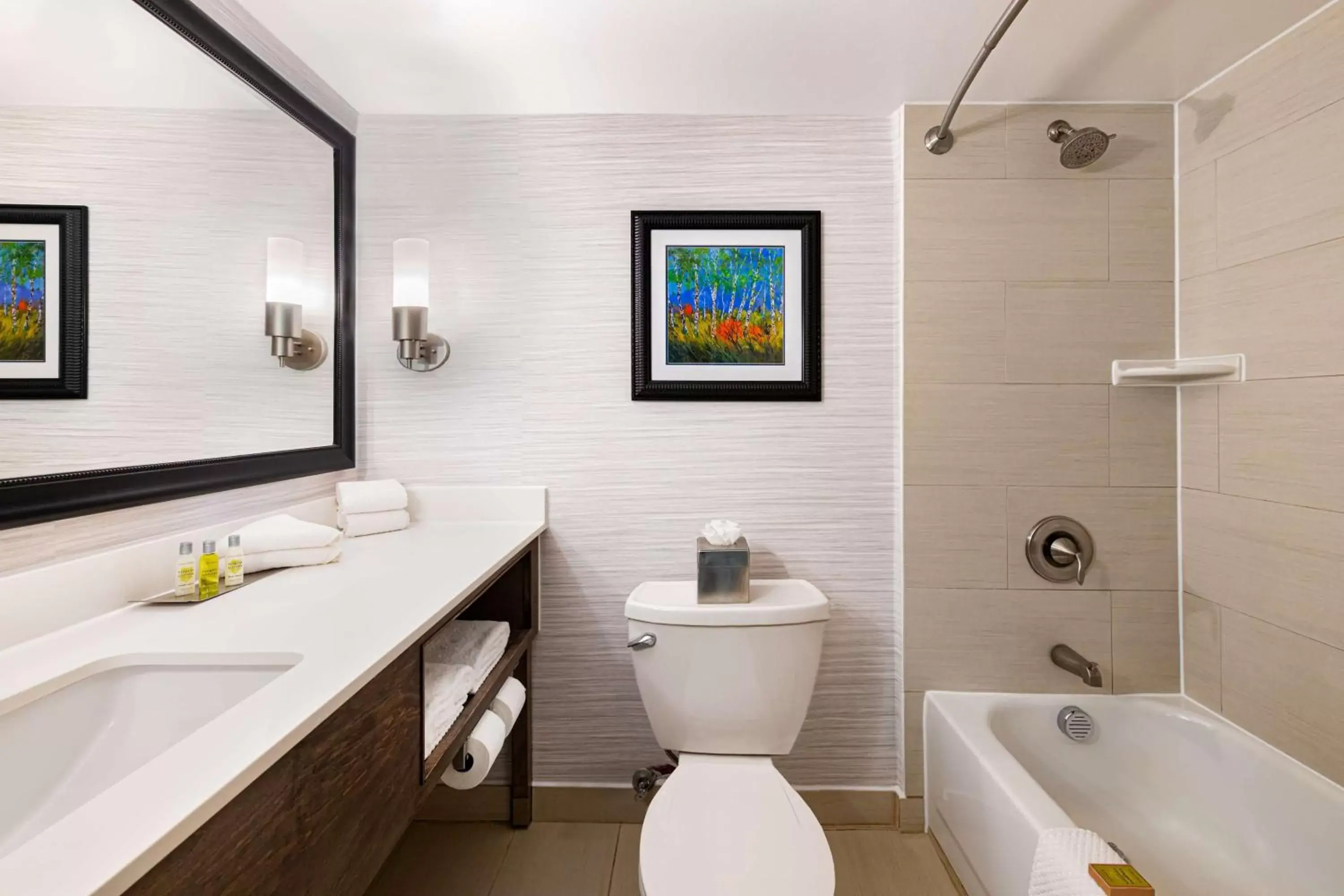 Bathroom in DoubleTree by Hilton Hotel Denver - Thornton